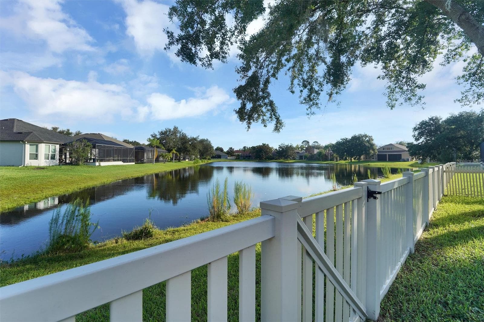 Fenced Backyard - 7136 DERWENT GLEN CIR, LAND O LAKES