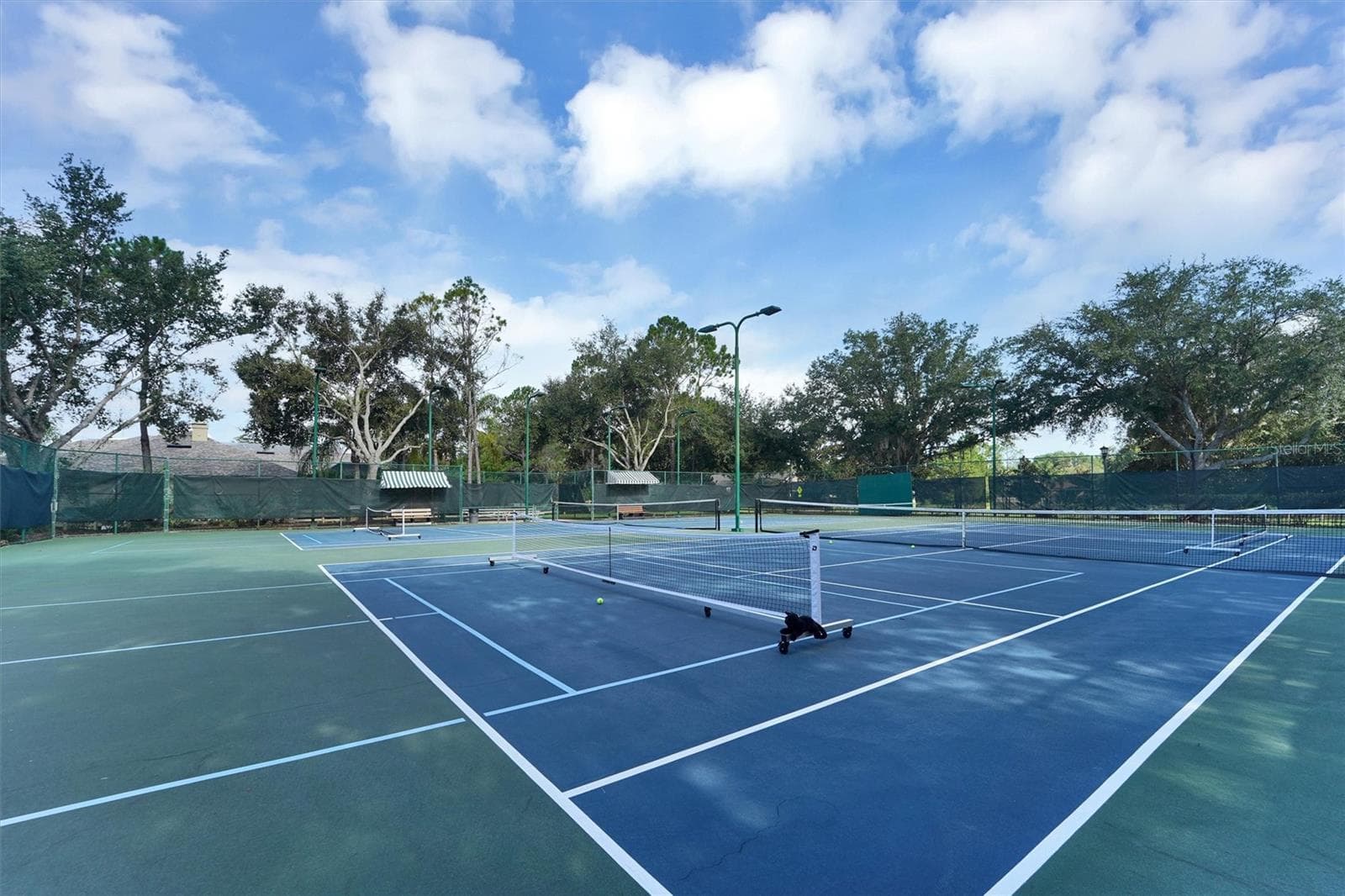 Tennis Courts - 7136 DERWENT GLEN CIR, LAND O LAKES
