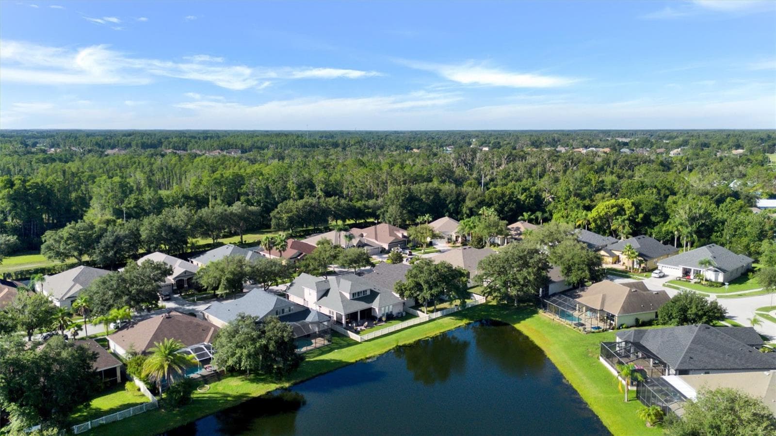 Aerial View - 7136 DERWENT GLEN CIR, LAND O LAKES