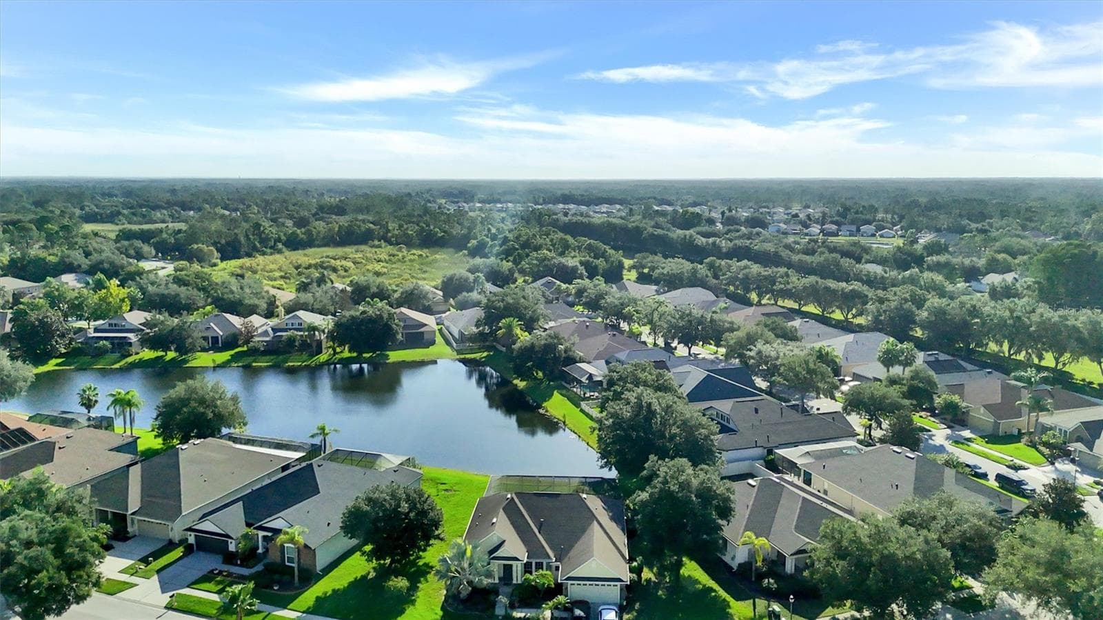 Aerial View - 7136 DERWENT GLEN CIR, LAND O LAKES