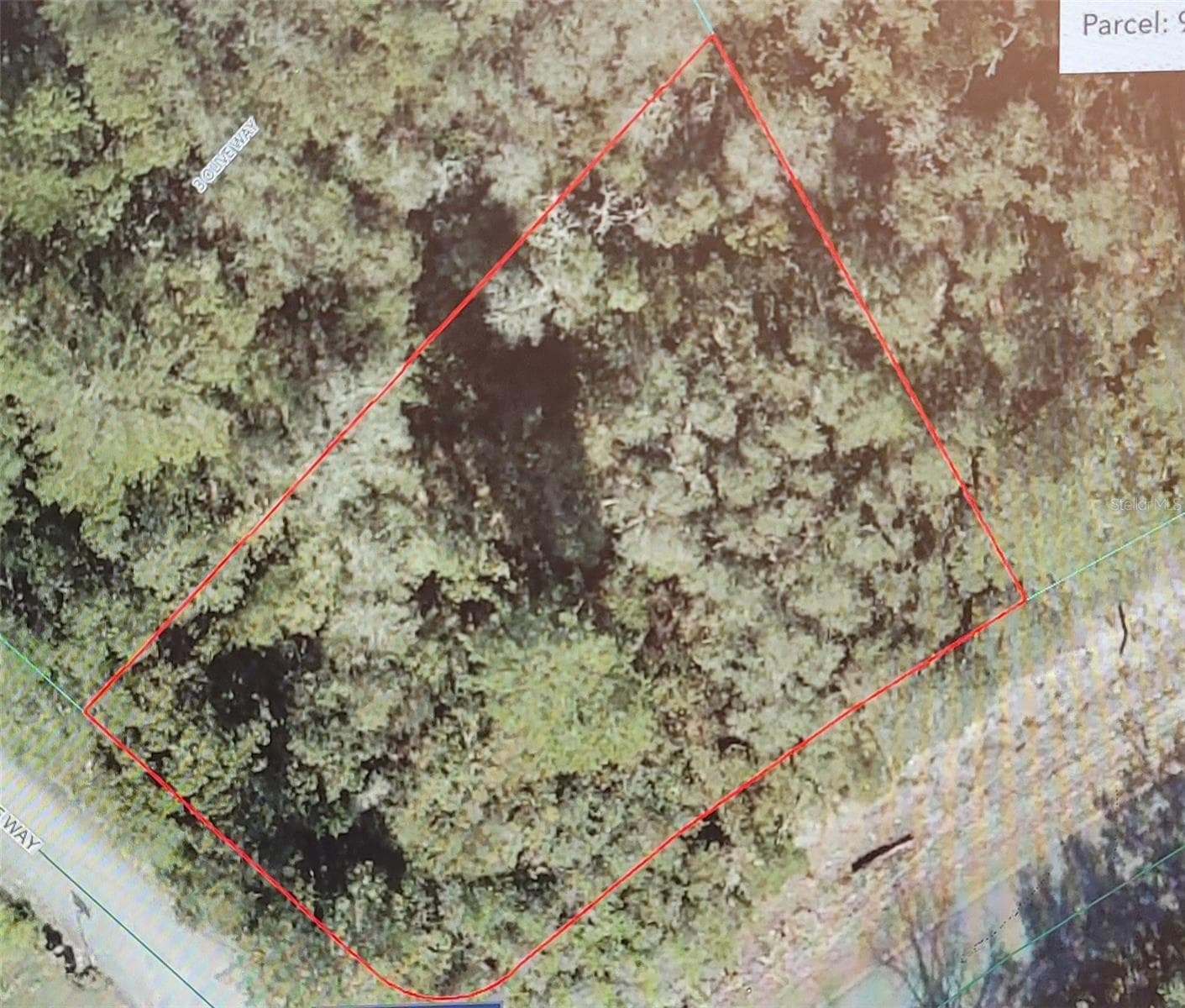Land at Lot 15 OLIVE WAY, OCALA, photo 2 of 6