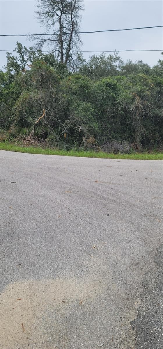 Land at Lot 15 OLIVE WAY, OCALA, photo 4 of 6