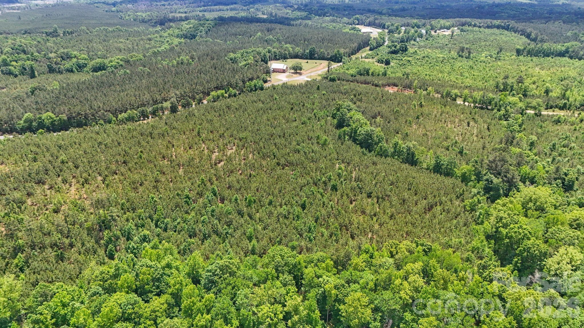 Acreage at 0000 Cool Branch Road, Carlisle, photo 5 of 20