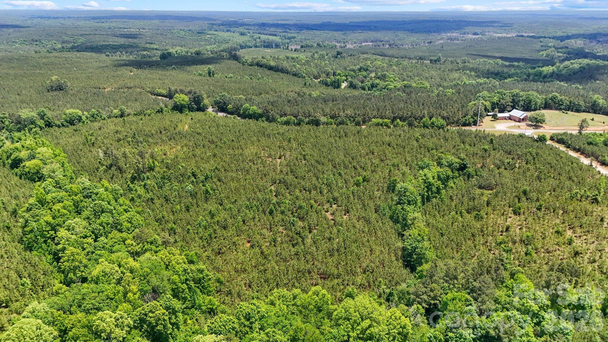 Acreage at 0000 Cool Branch Road, Carlisle, photo 7 of 20