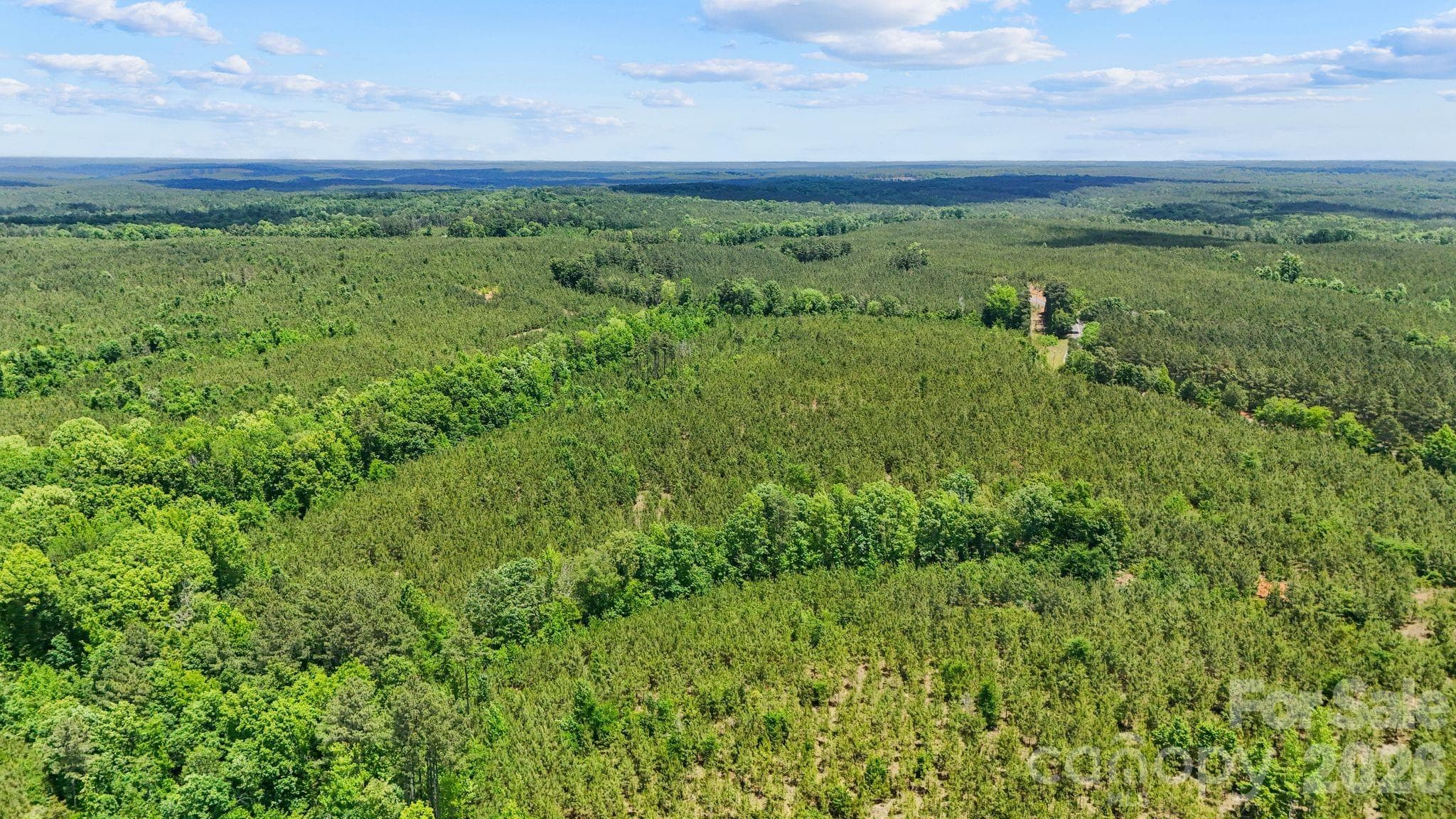 Acreage at 0000 Cool Branch Road, Carlisle, photo 8 of 20