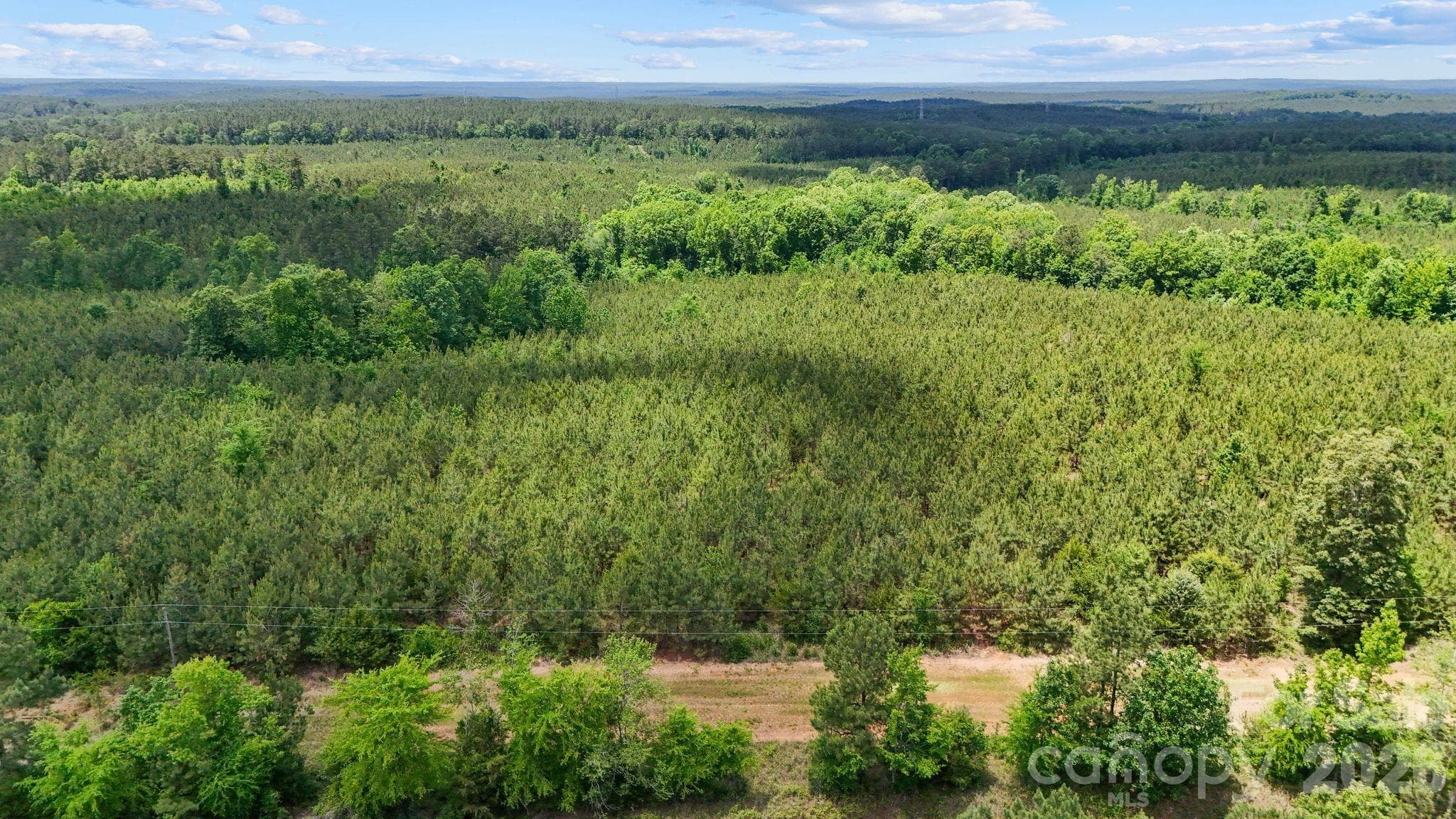 Acreage at 0000 Cool Branch Road, Carlisle, photo 14 of 20