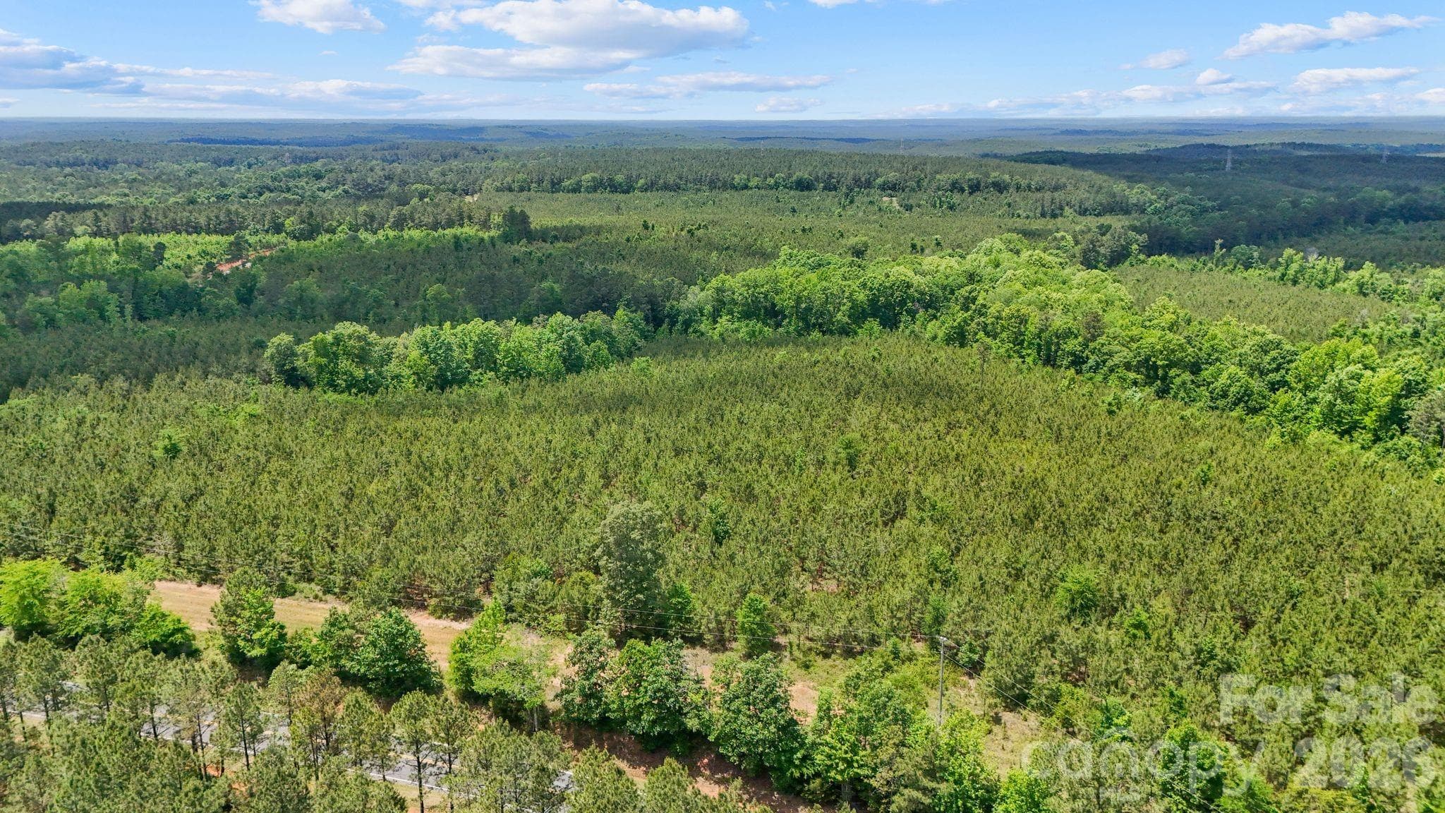 Acreage at 0000 Cool Branch Road, Carlisle, photo 16 of 20