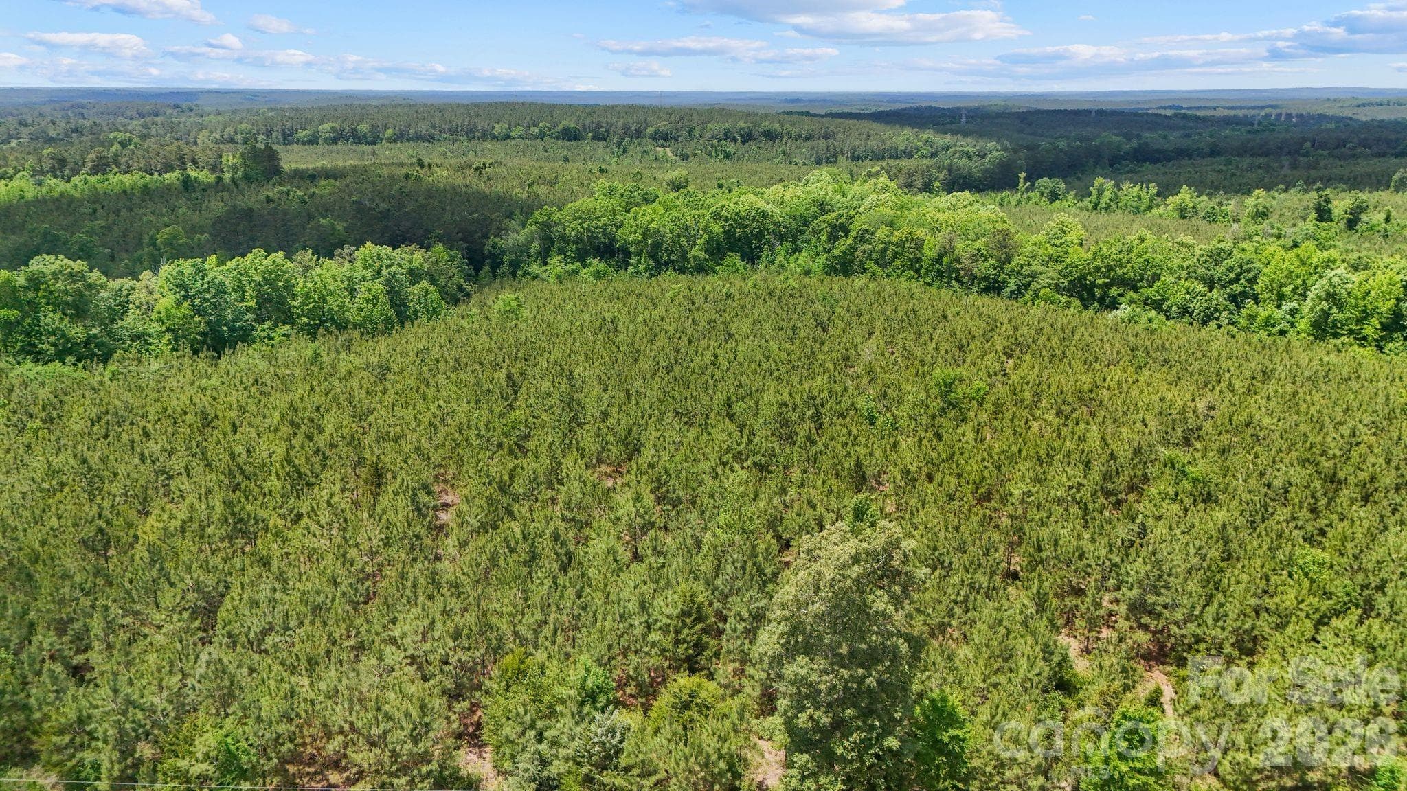 Acreage at 0000 Cool Branch Road, Carlisle, photo 17 of 20