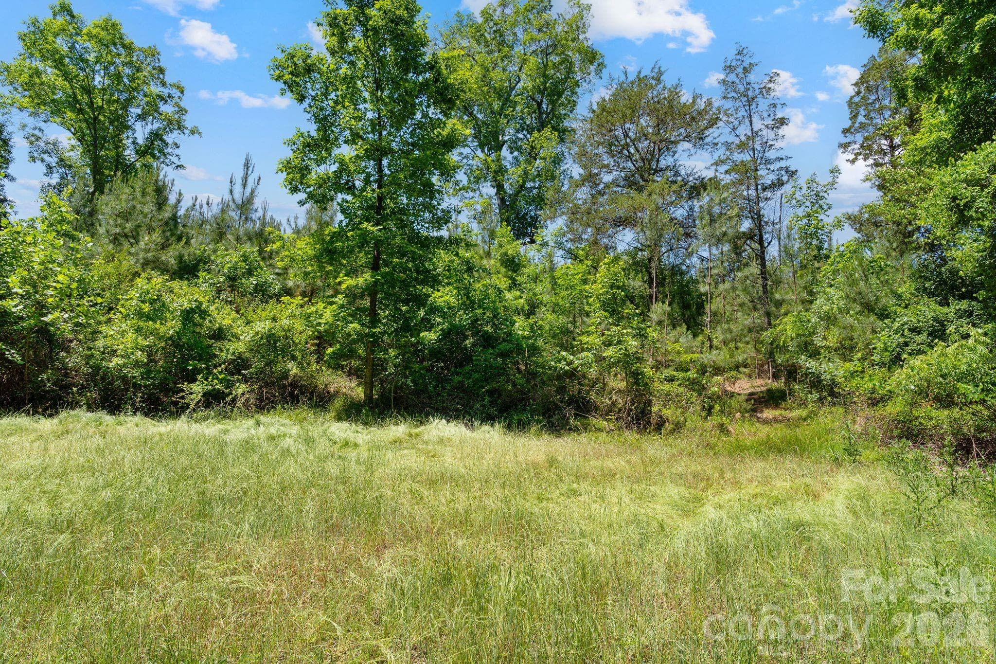 Acreage at 0000 Cool Branch Road, Carlisle, photo 20 of 20