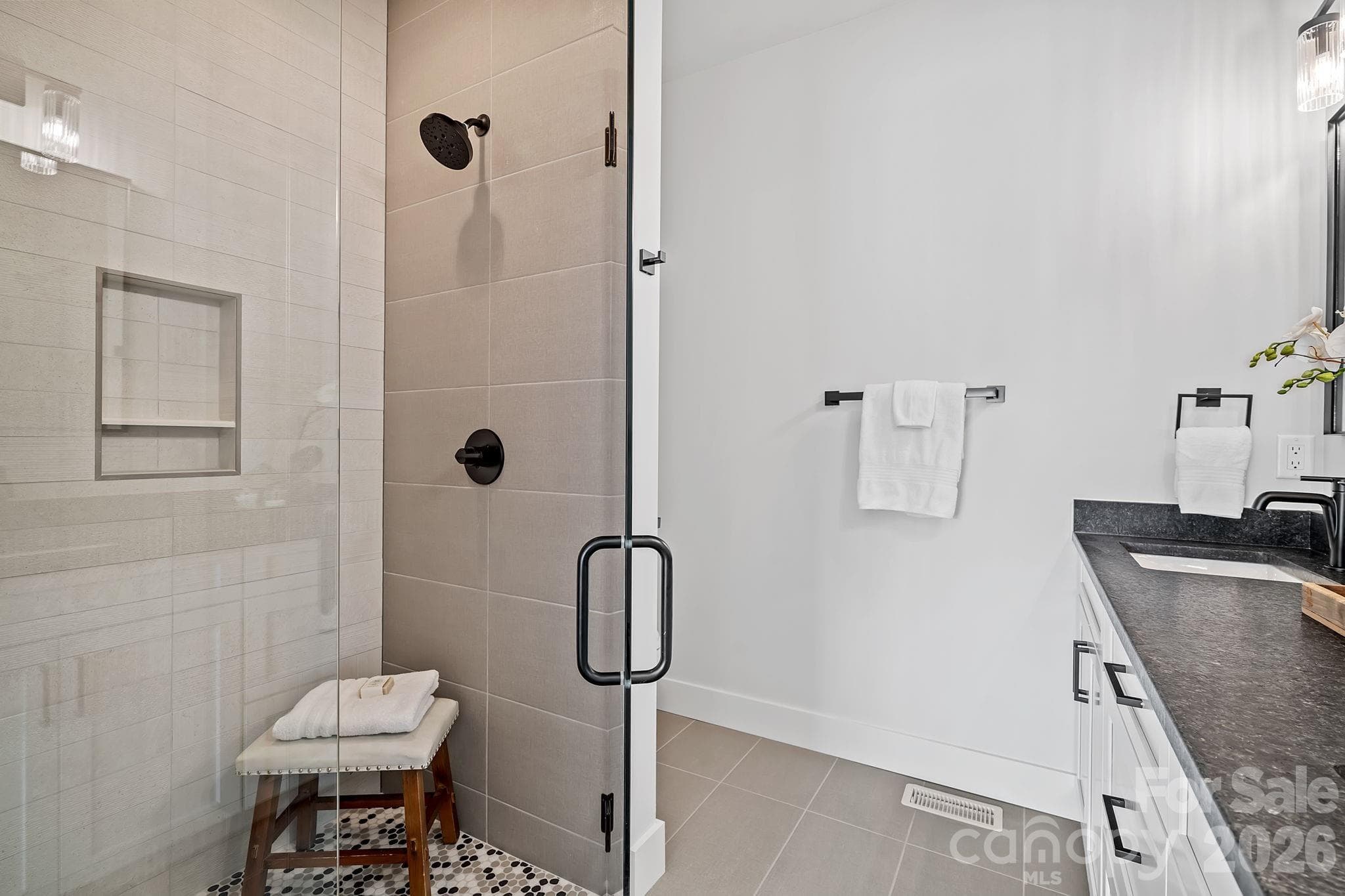 Walk-In Shower in the Primary Suite - 9 Gudger Road, Asheville