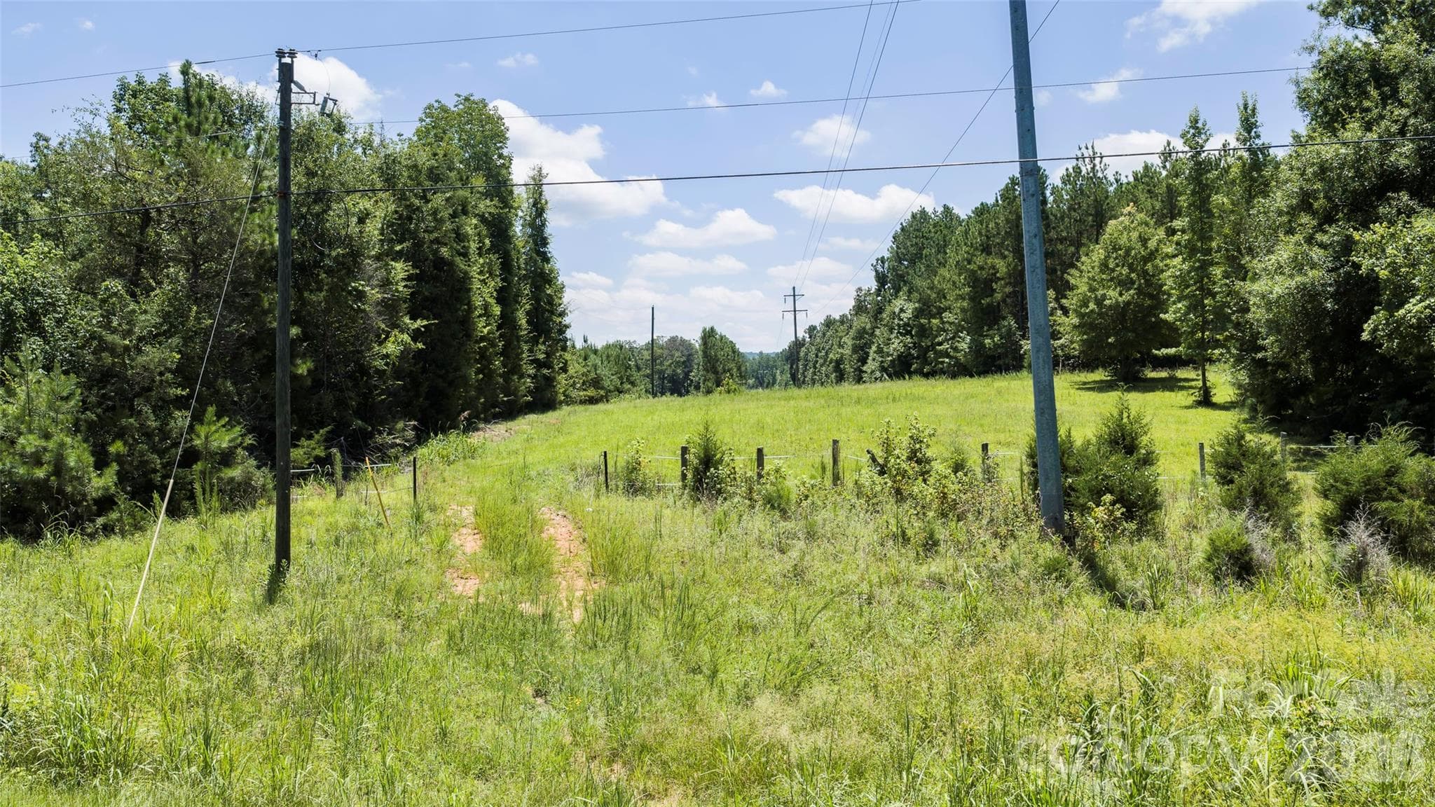 Acreage at 2211 Muller Road, Blythewood, photo 9 of 10