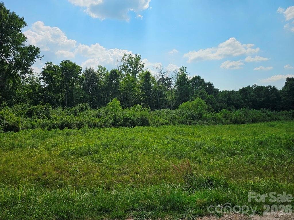 Acreage at 189 Border Road W, Rock Hill, photo 2 of 6