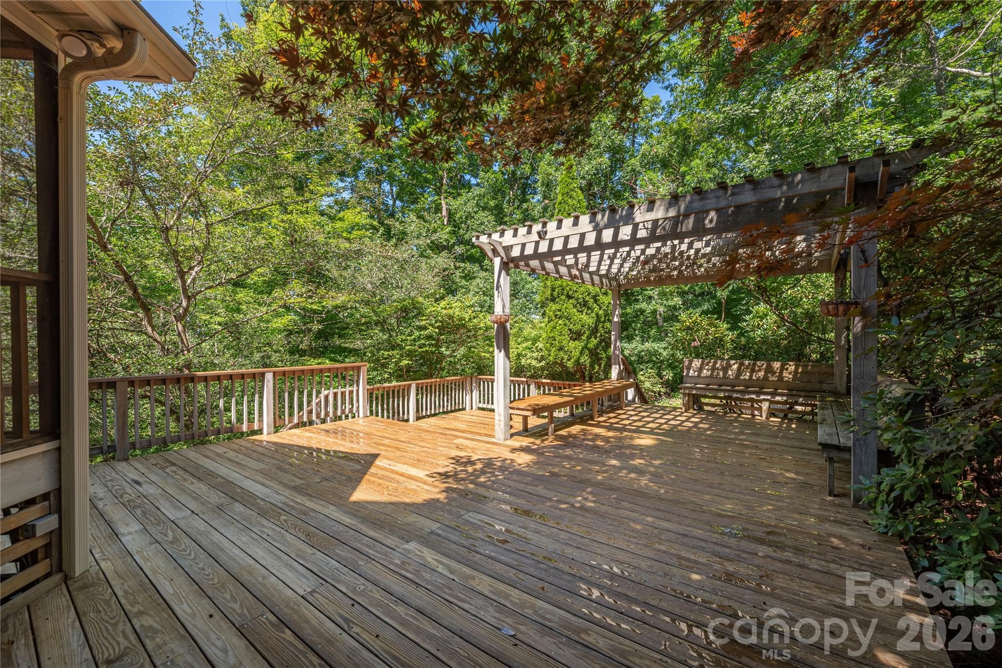 Expansive Deck Shaded by Stunning Japanese Maple Tree - 602 Hidden Springs Drive, Asheville