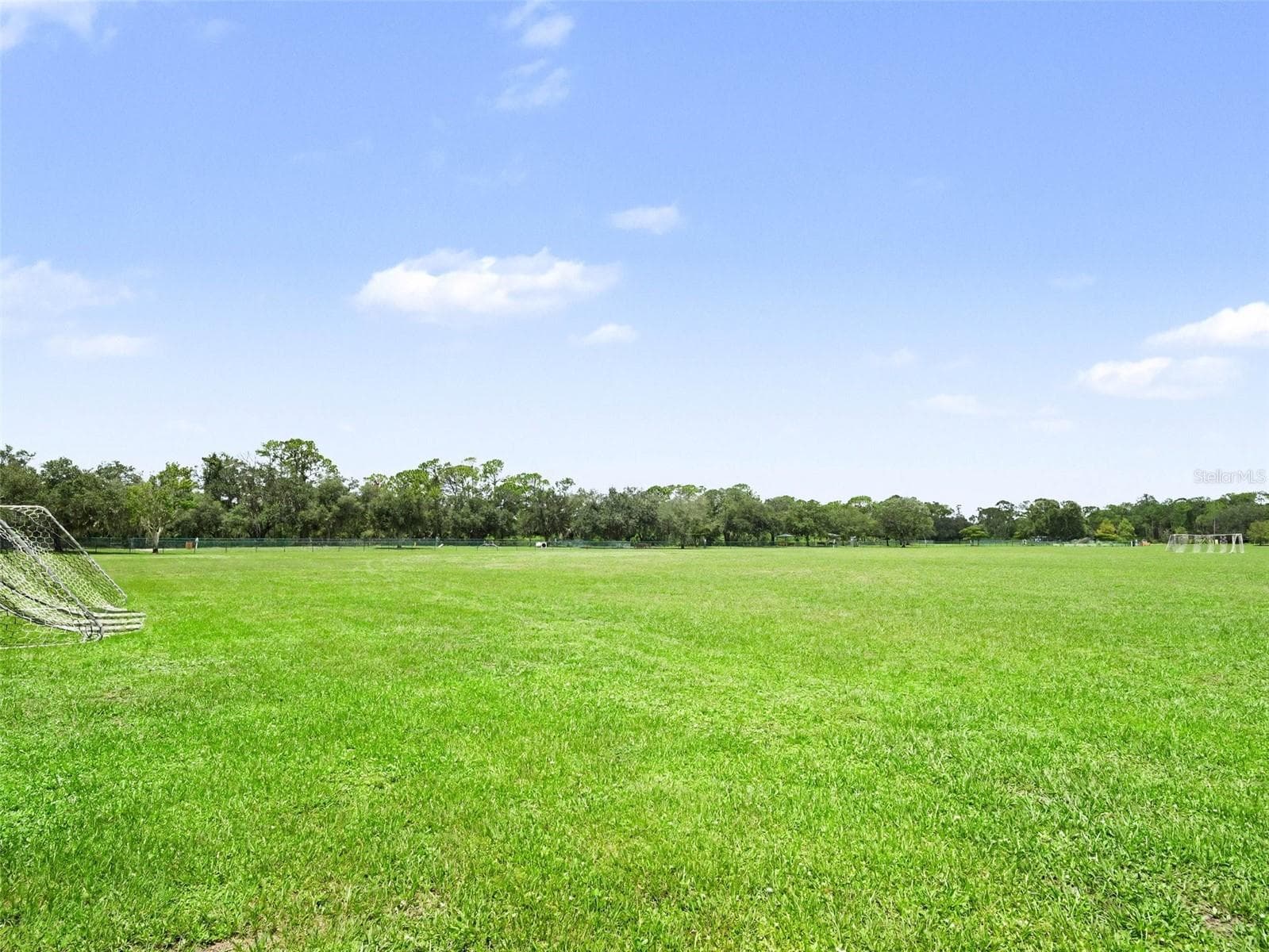 Single Family Residence at 14146 CATTLE EGRET PL, LAKEWOOD RANCH, photo 41 of 45