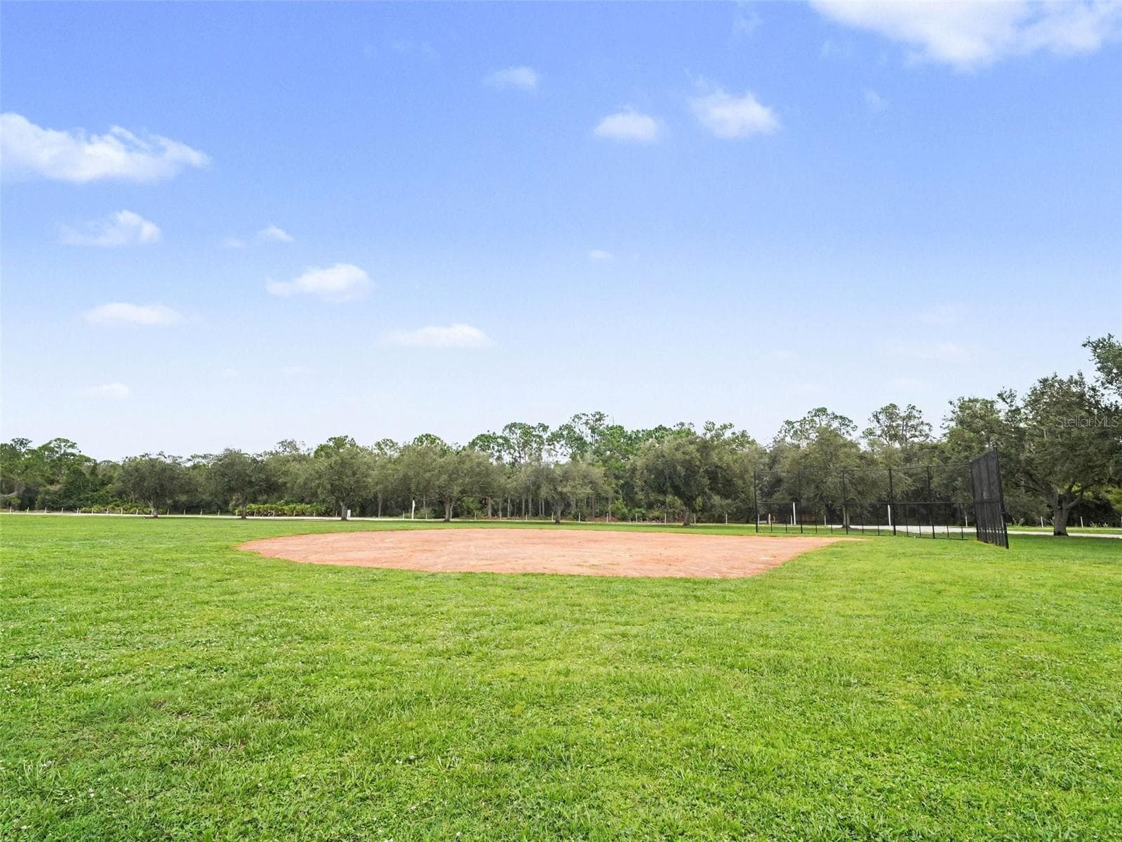 Single Family Residence at 14146 CATTLE EGRET PL, LAKEWOOD RANCH, photo 42 of 45
