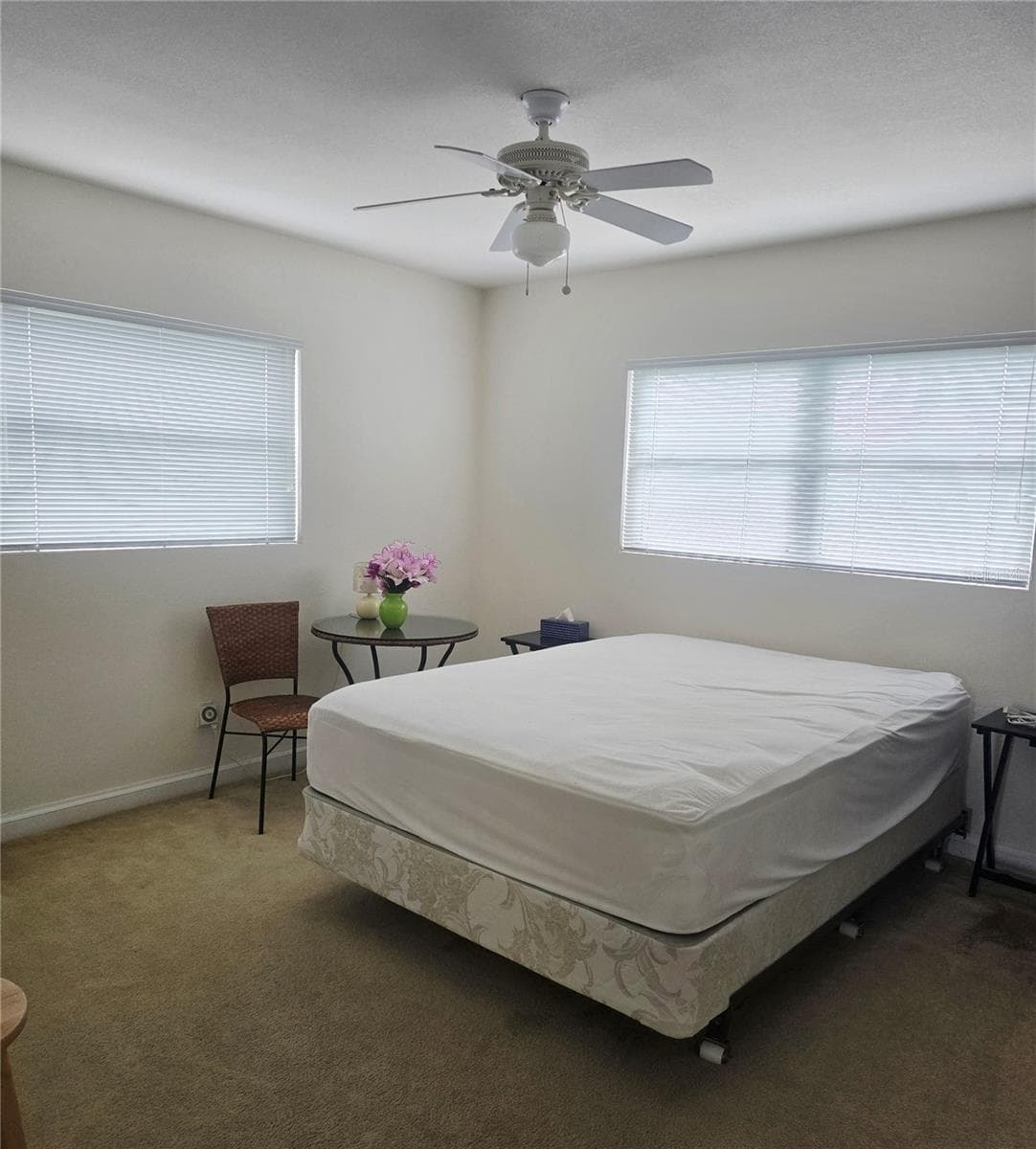 Single Family Residence at 205 N MISSOURI AVE, CLEARWATER, photo 17 of 27
