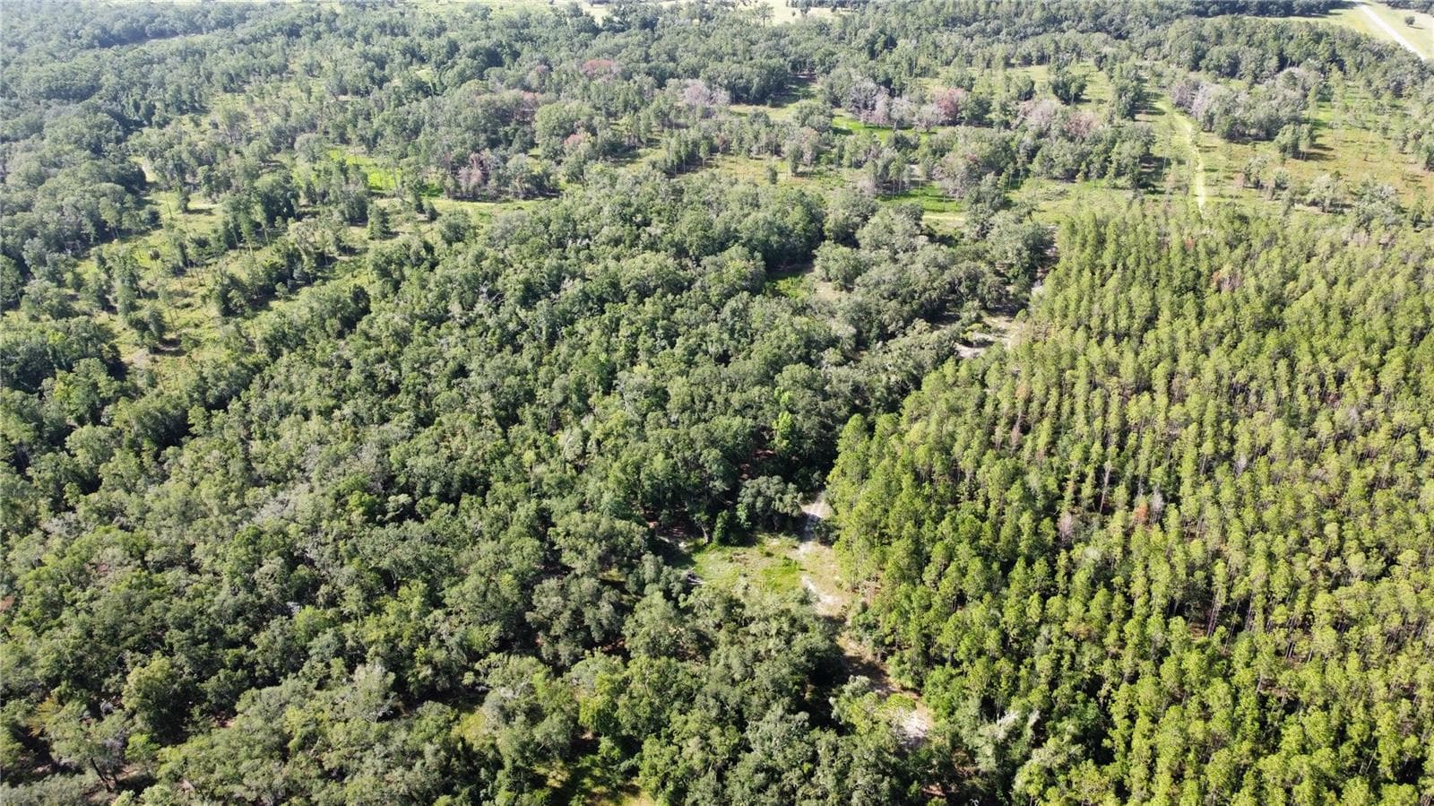 Land at NE HWY 353, OLD TOWN, photo 15 of 17