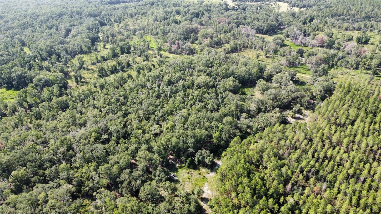 Land at NE HWY 353, OLD TOWN, photo 17 of 17