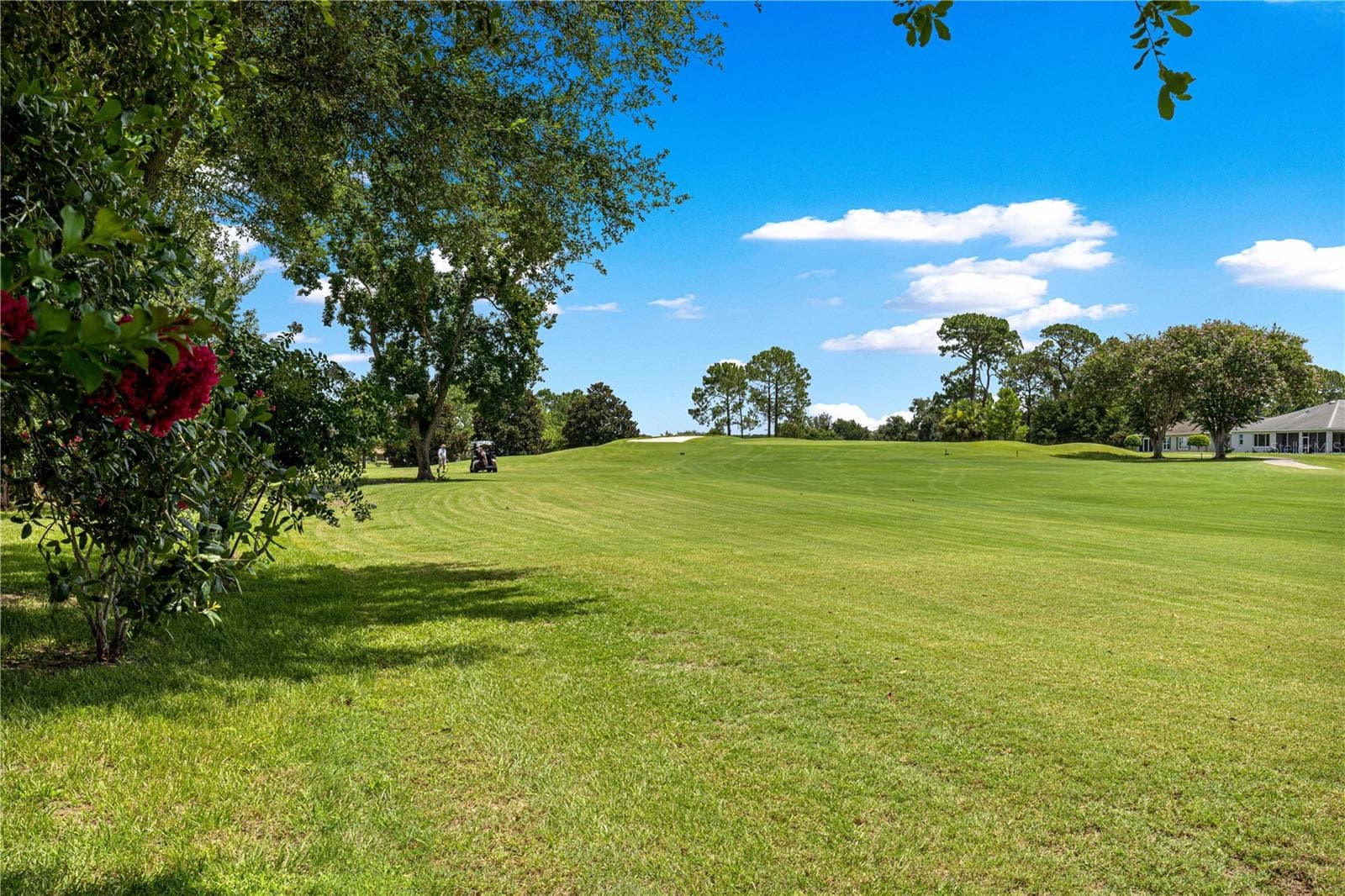 Golf Course view - 9037 SW 91ST CIR, OCALA