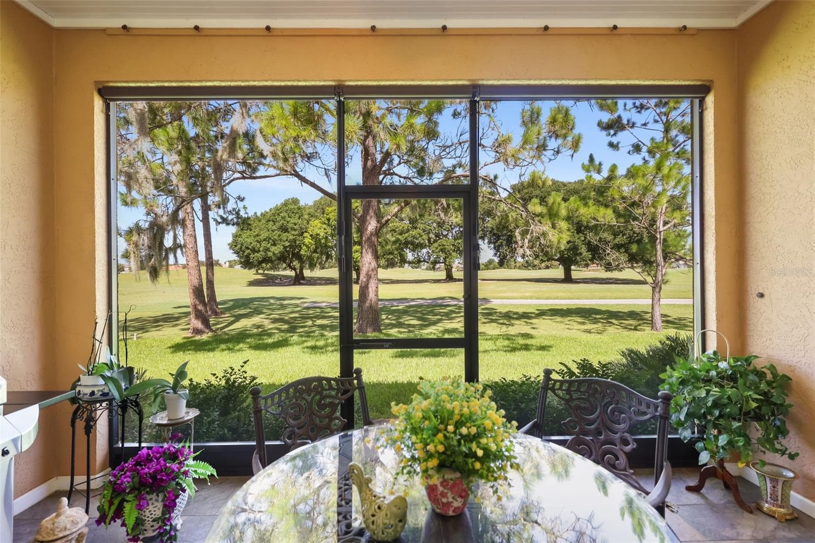 Lanai view - 29925 CYPRESS POINTE, TAVARES
