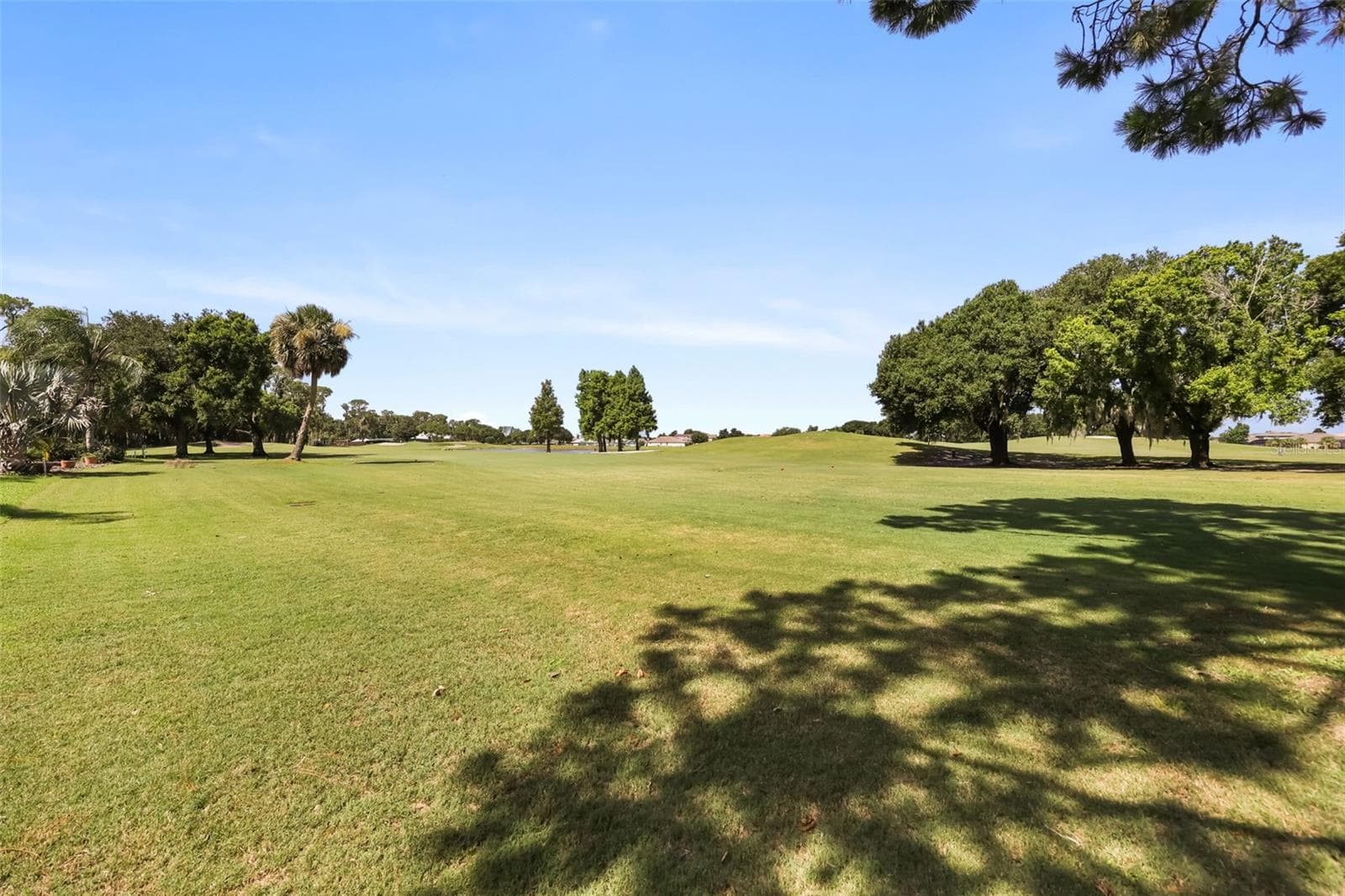 Golf course views - 29925 CYPRESS POINTE, TAVARES