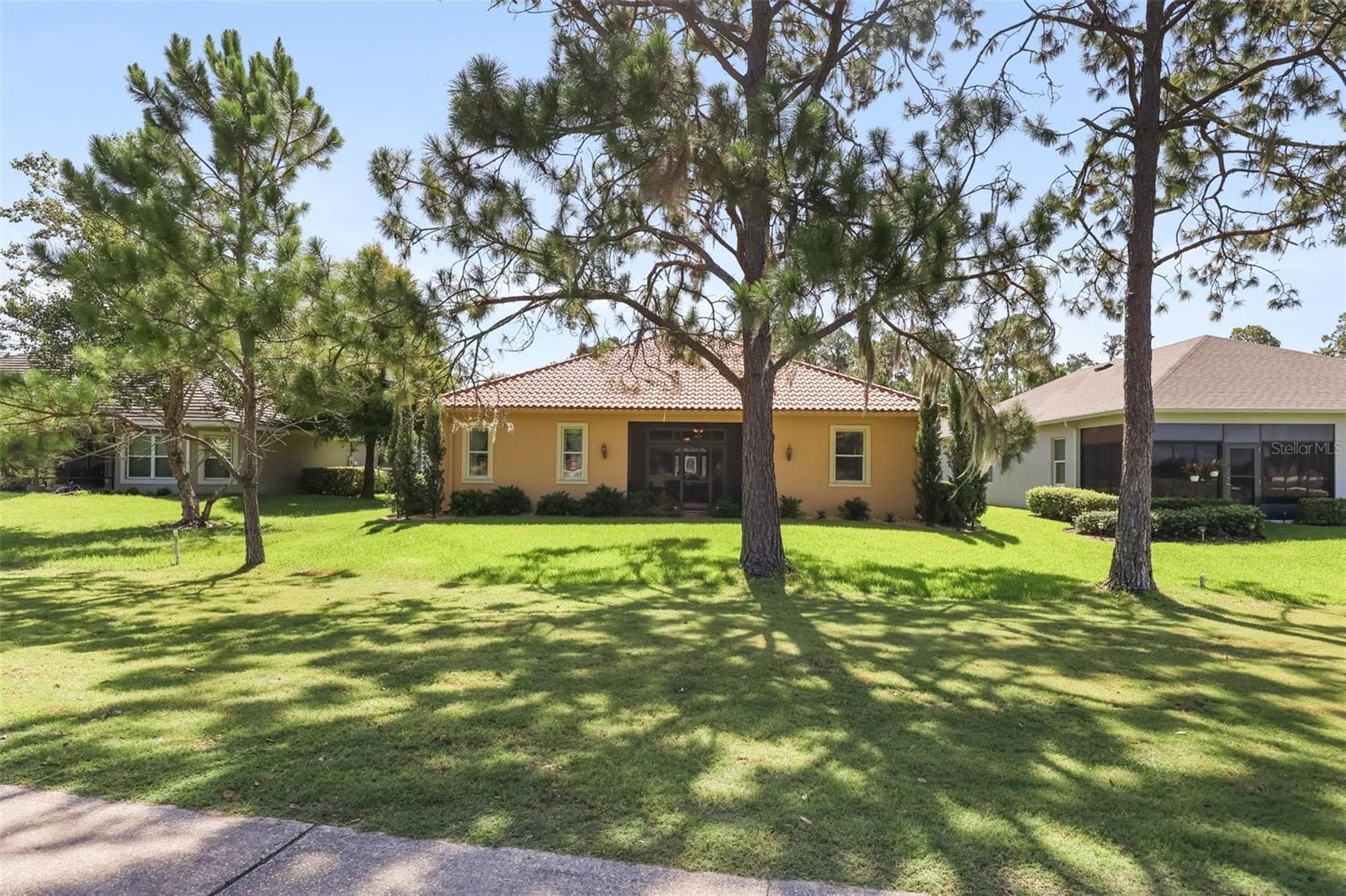 Beautiful pines along the back property line - 29925 CYPRESS POINTE, TAVARES