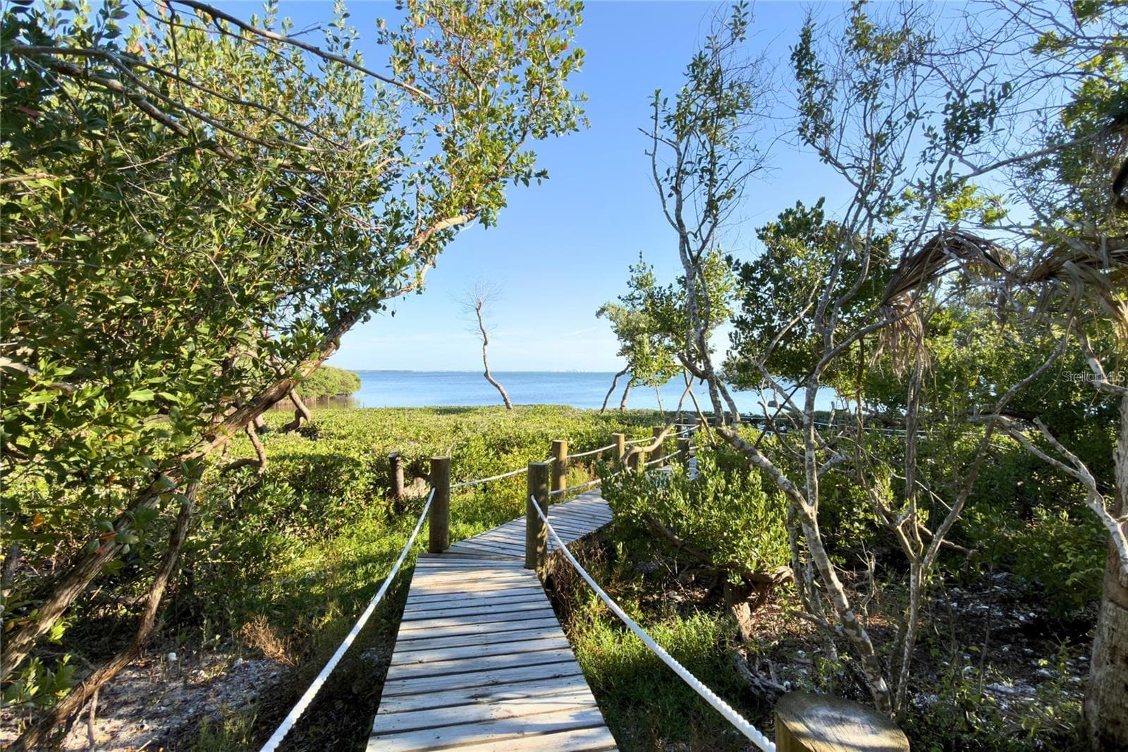 Condominium at 56 TIDY ISLAND BLVD #56, BRADENTON, photo 97 of 99