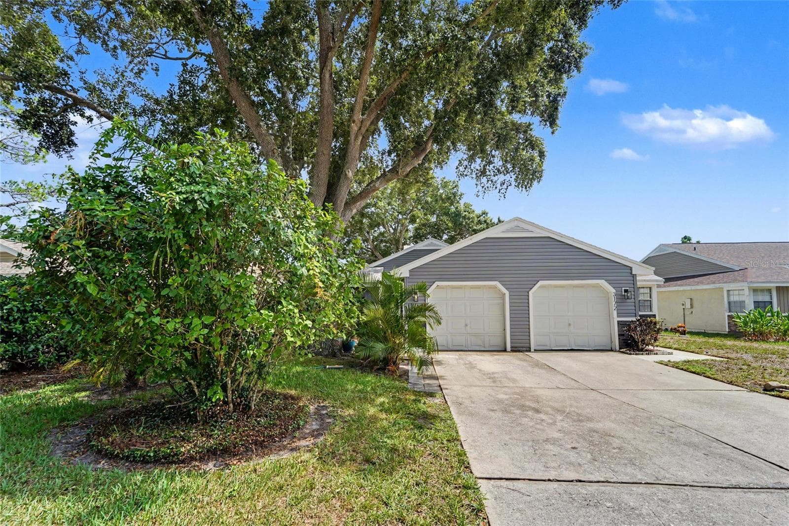 Front of home - 3174 PHLOX DR, PALM HARBOR