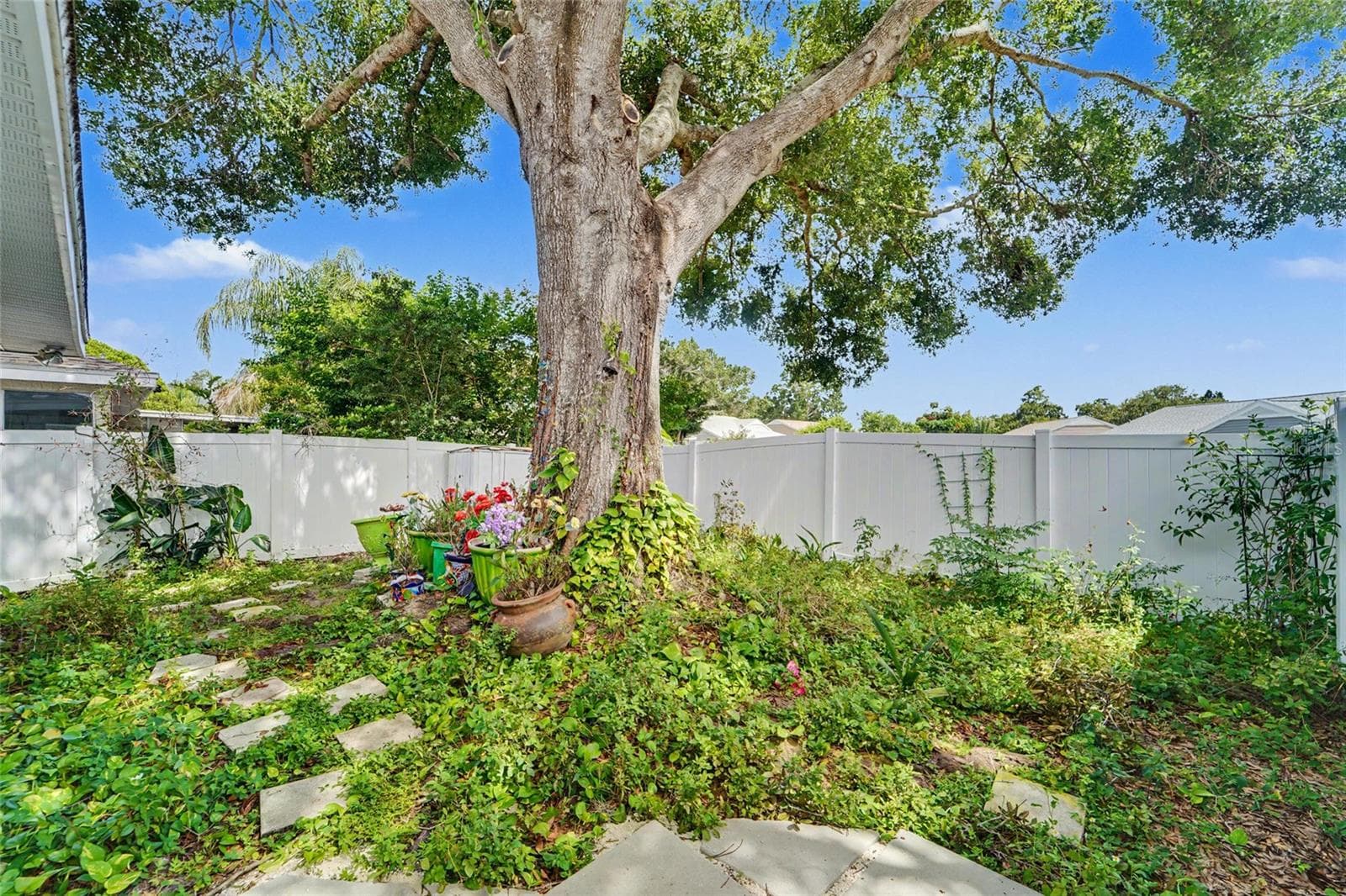 Backyard - 3174 PHLOX DR, PALM HARBOR