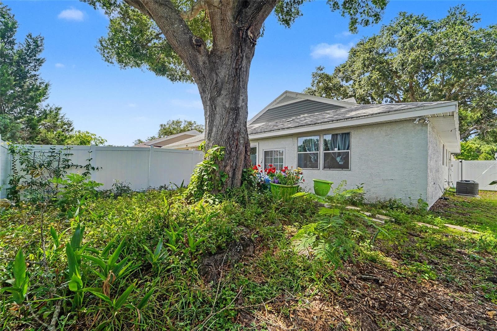 Backyard with newer vinyl fence - 3174 PHLOX DR, PALM HARBOR
