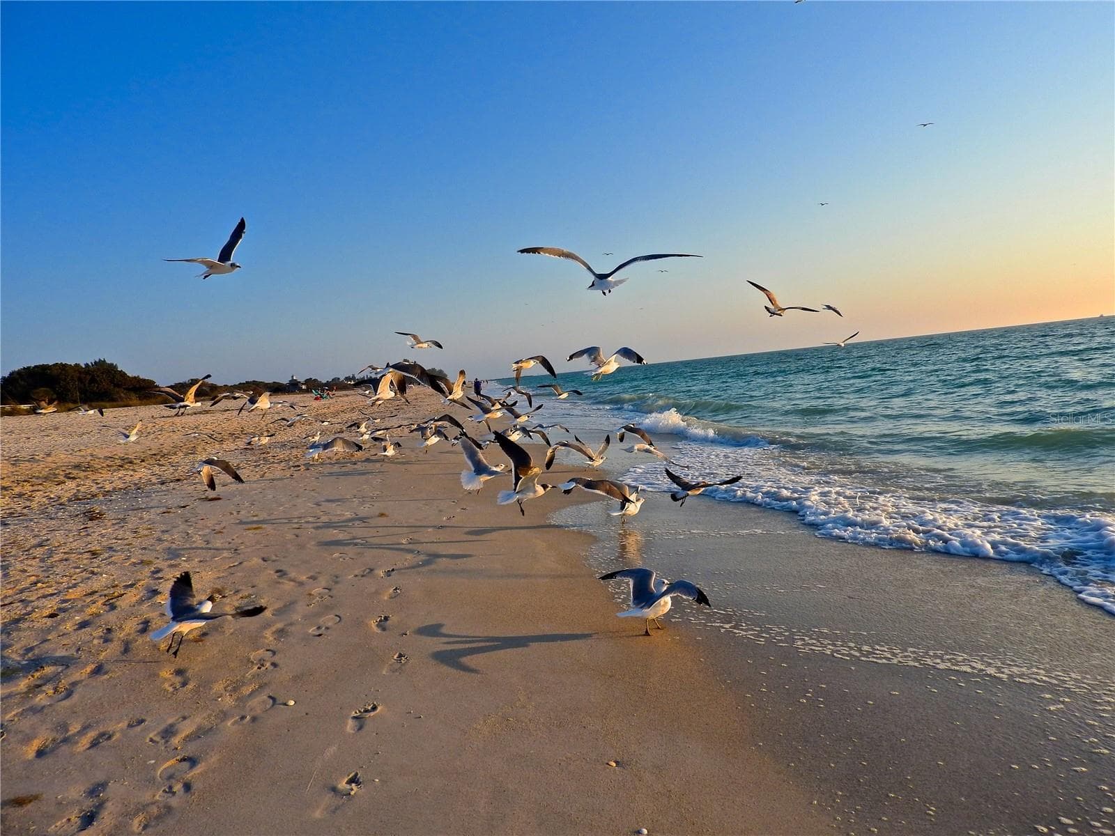 Manasota Beach - 7917 PINEGROVE CT #1, SARASOTA