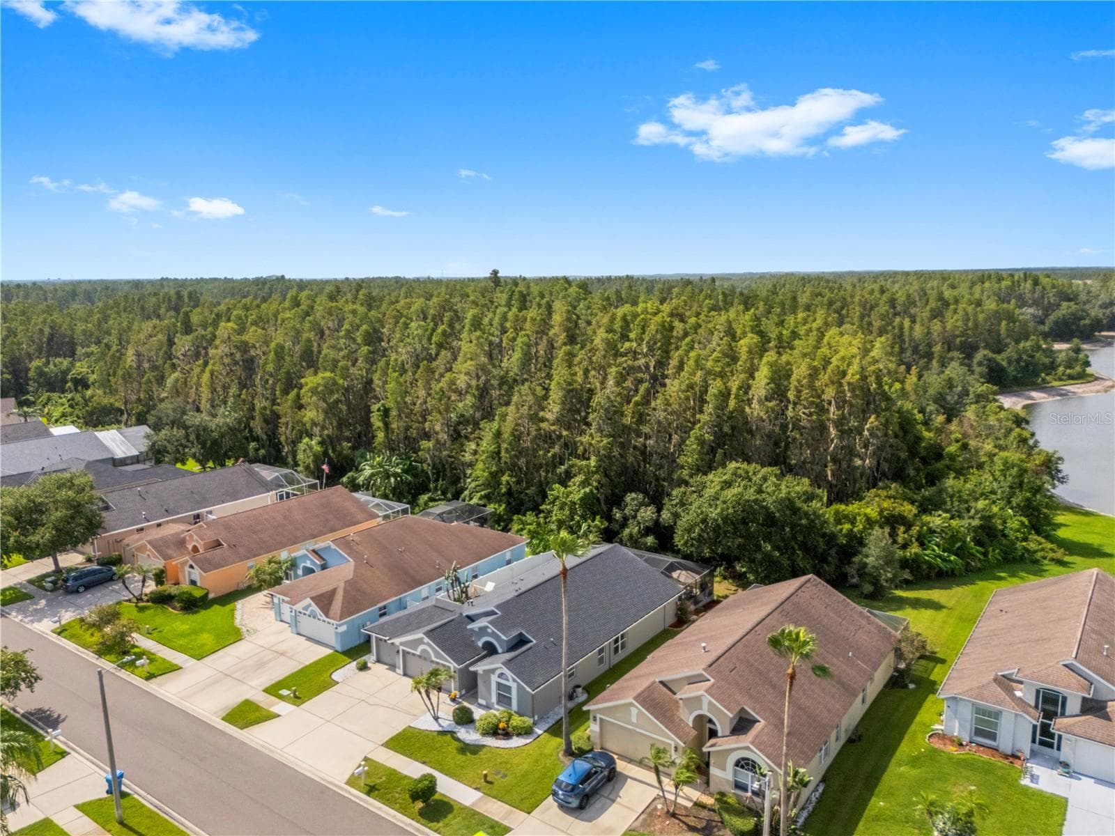 Single Family Residence at 30923 IVERSON DR, WESLEY CHAPEL, photo 59 of 61