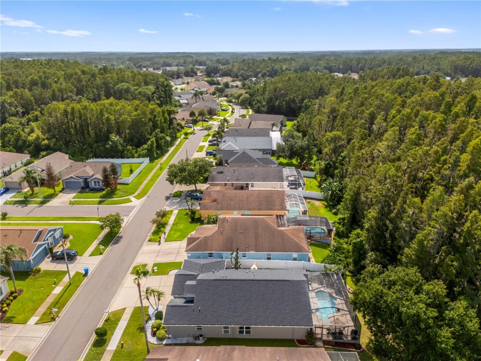 Single Family Residence at 30923 IVERSON DR, WESLEY CHAPEL, photo 60 of 61