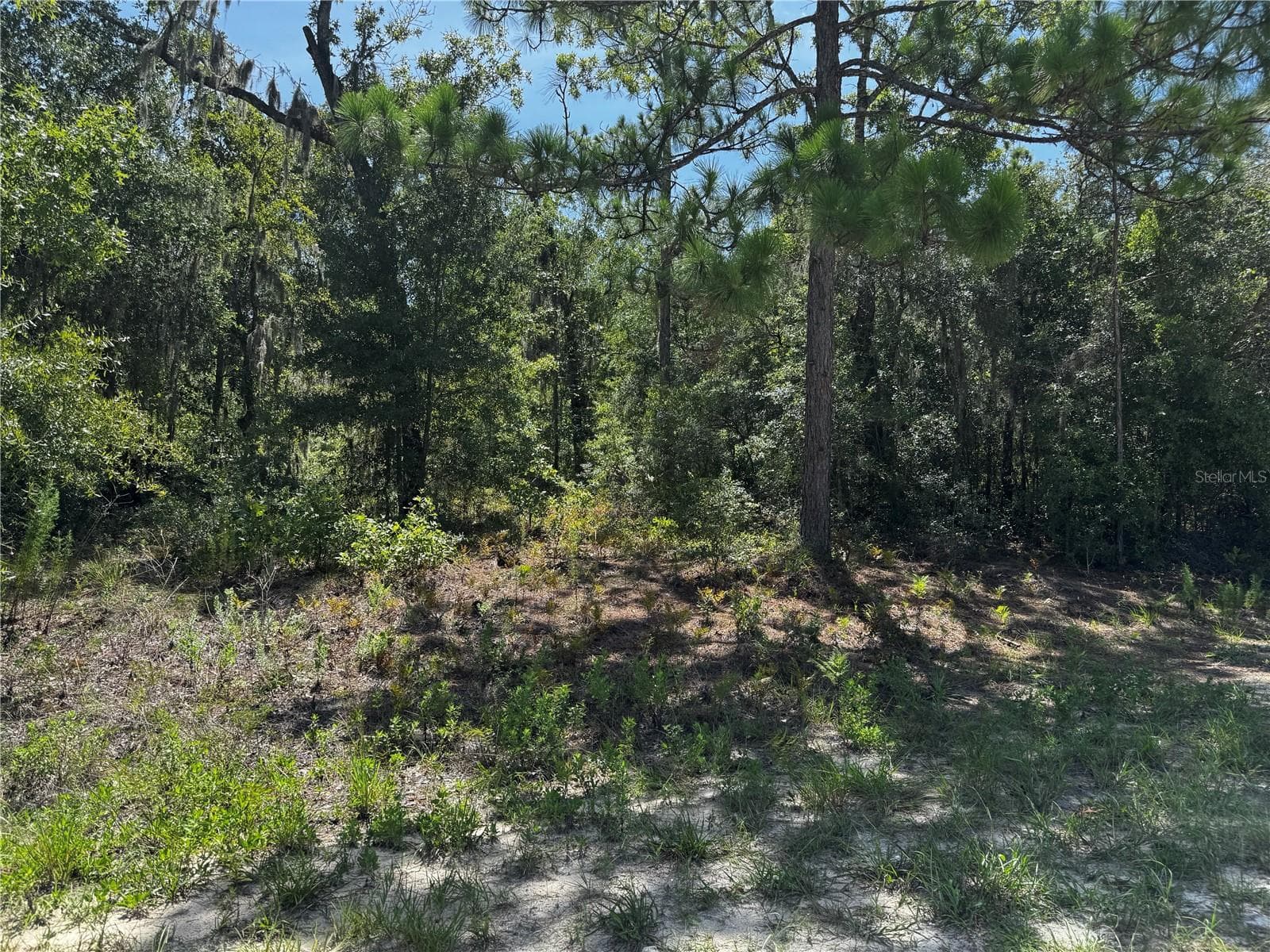 CRIDER RD #3