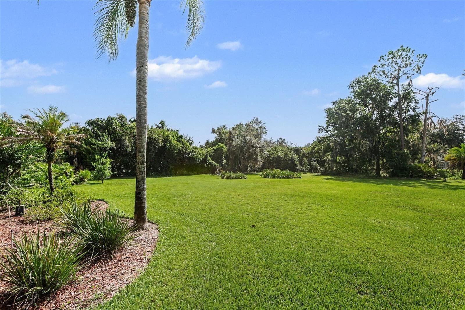 Spacious back yard - 2912 HAMPTON PLACE CT, PLANT CITY