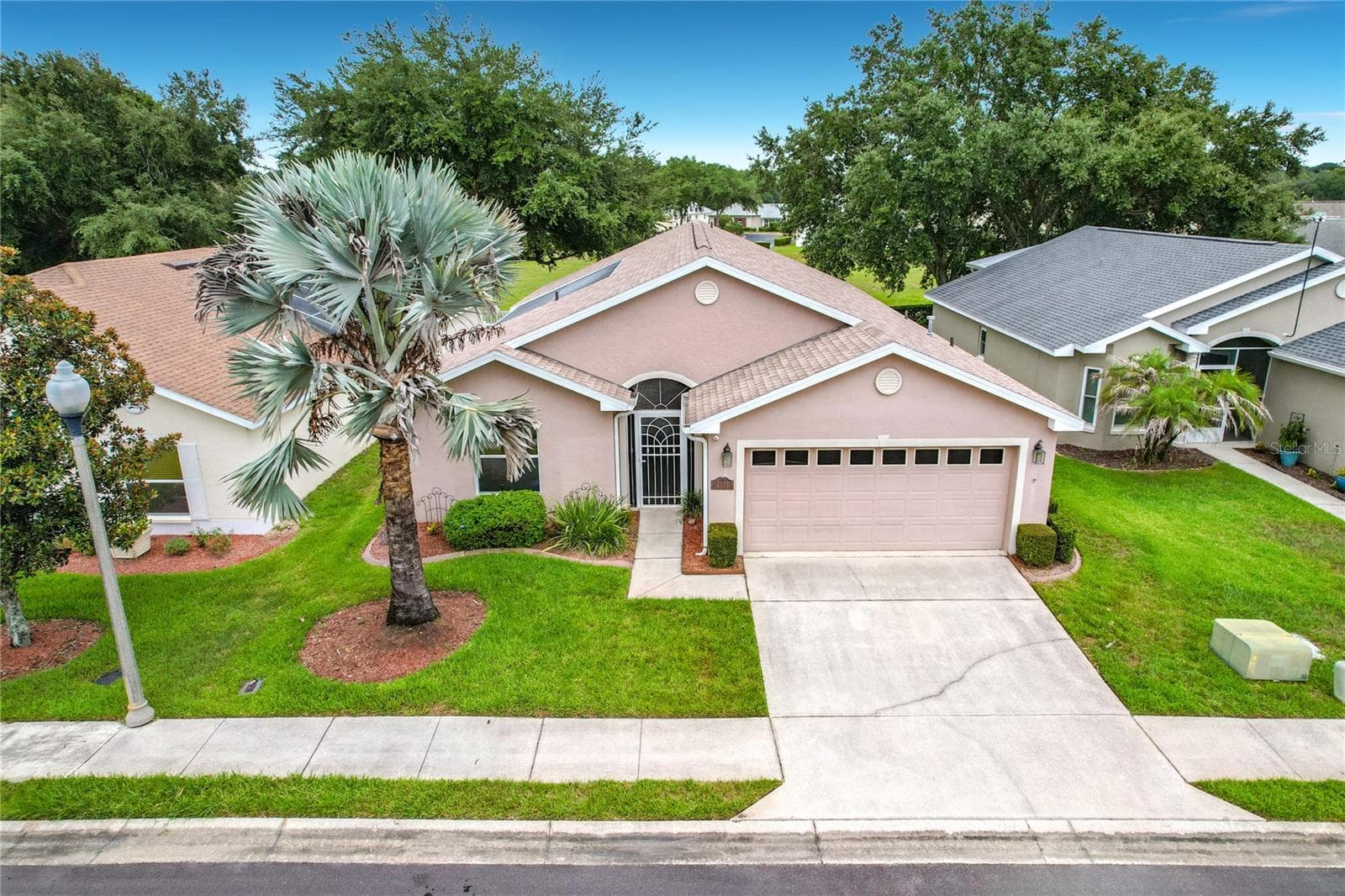 Mature Palm - 4178 CANNES AVE, LAKE WALES