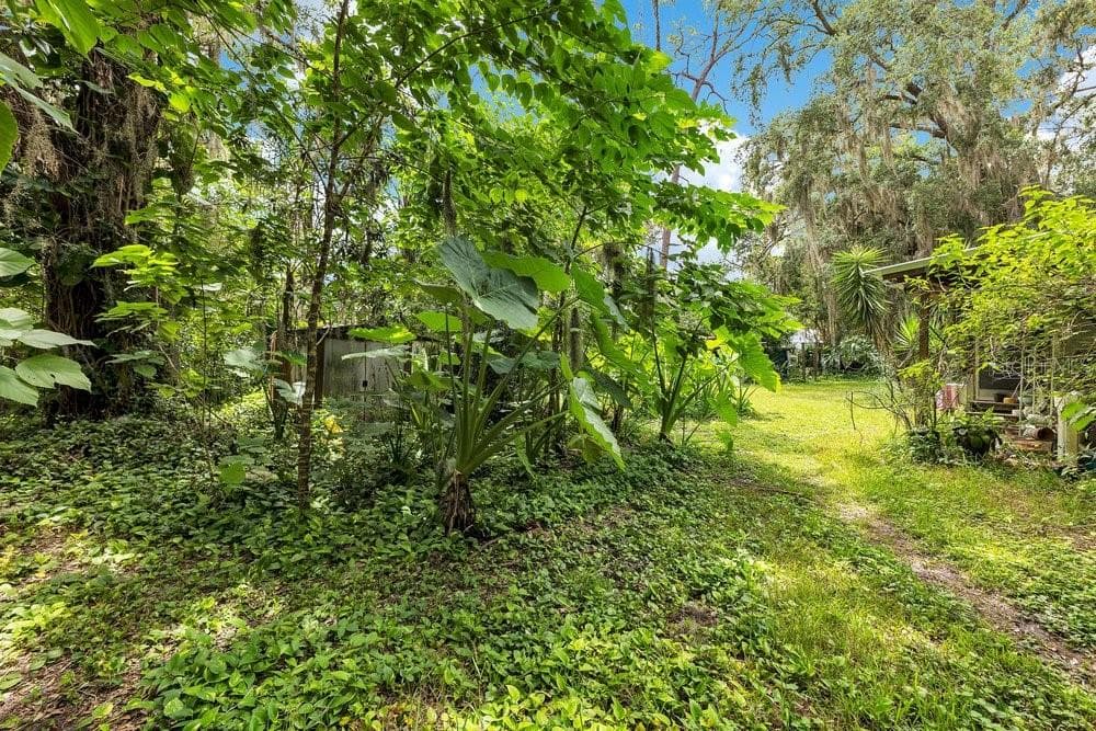 Backyard - 5074 S KALIGA DR, ST CLOUD