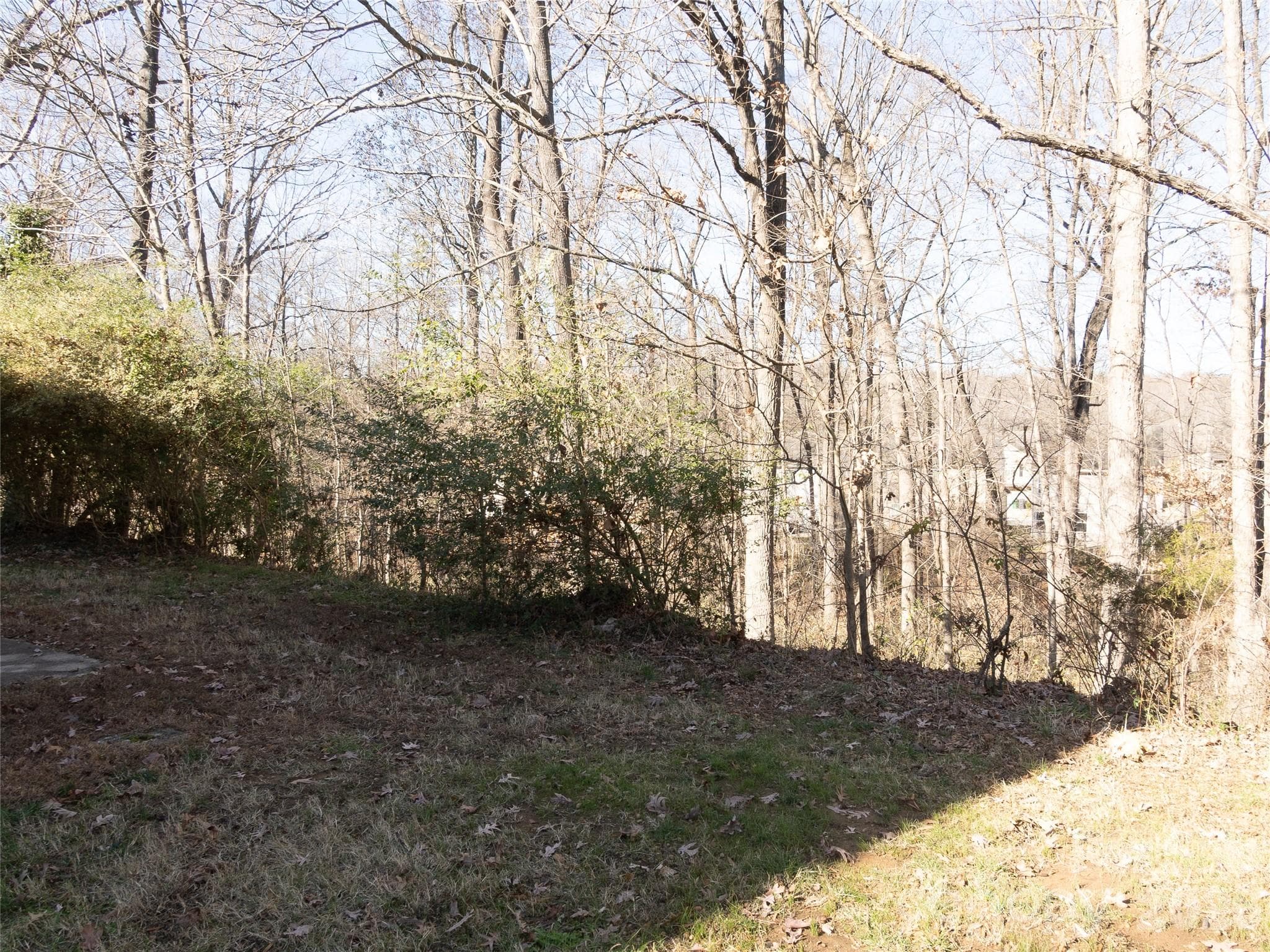 Wooded View - 9718 Old Gate Drive, Matthews