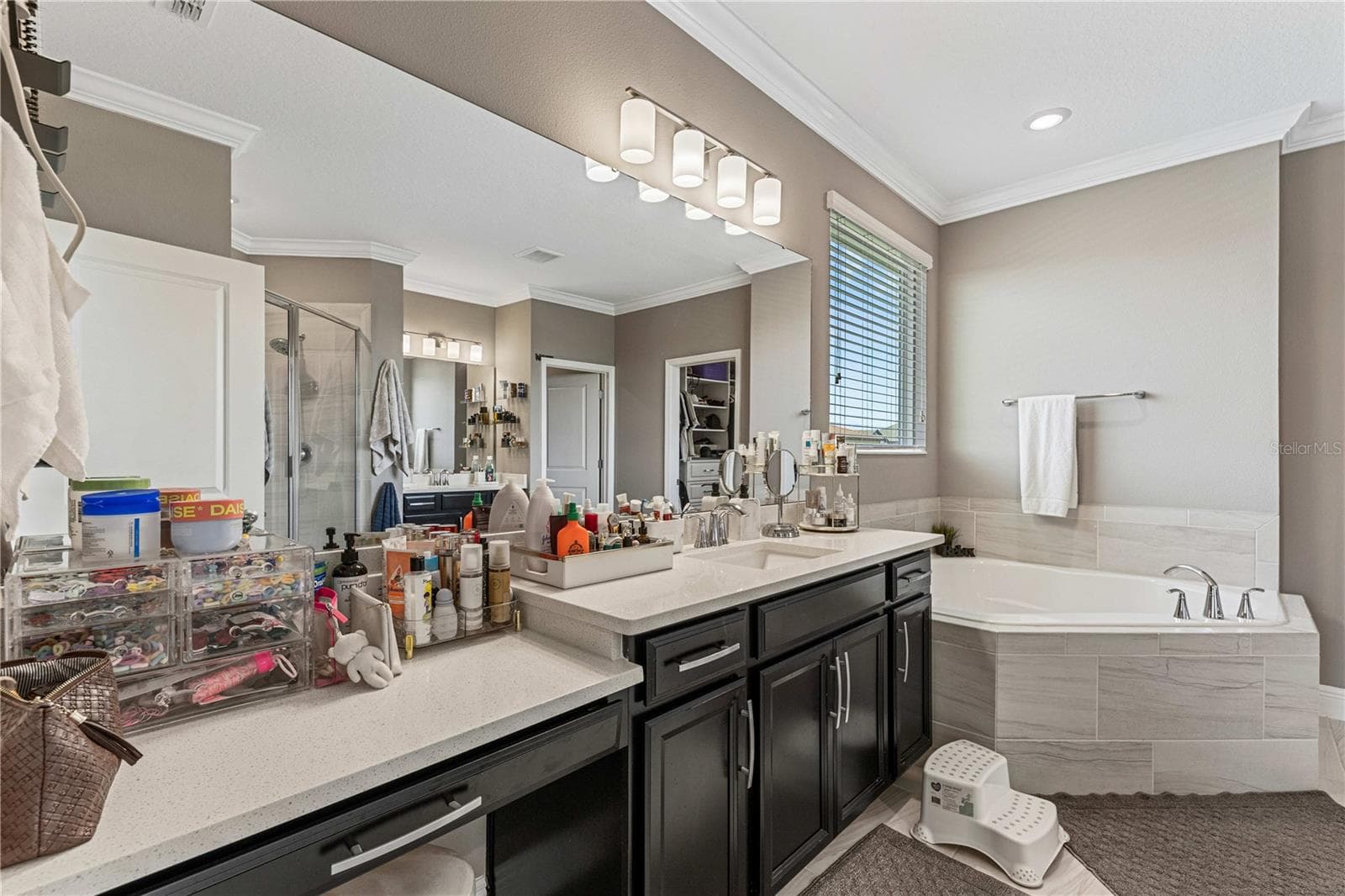 Single Family Residence at 9225 HOLLISTON CREEK PL, WINTER GARDEN, photo 25 of 44