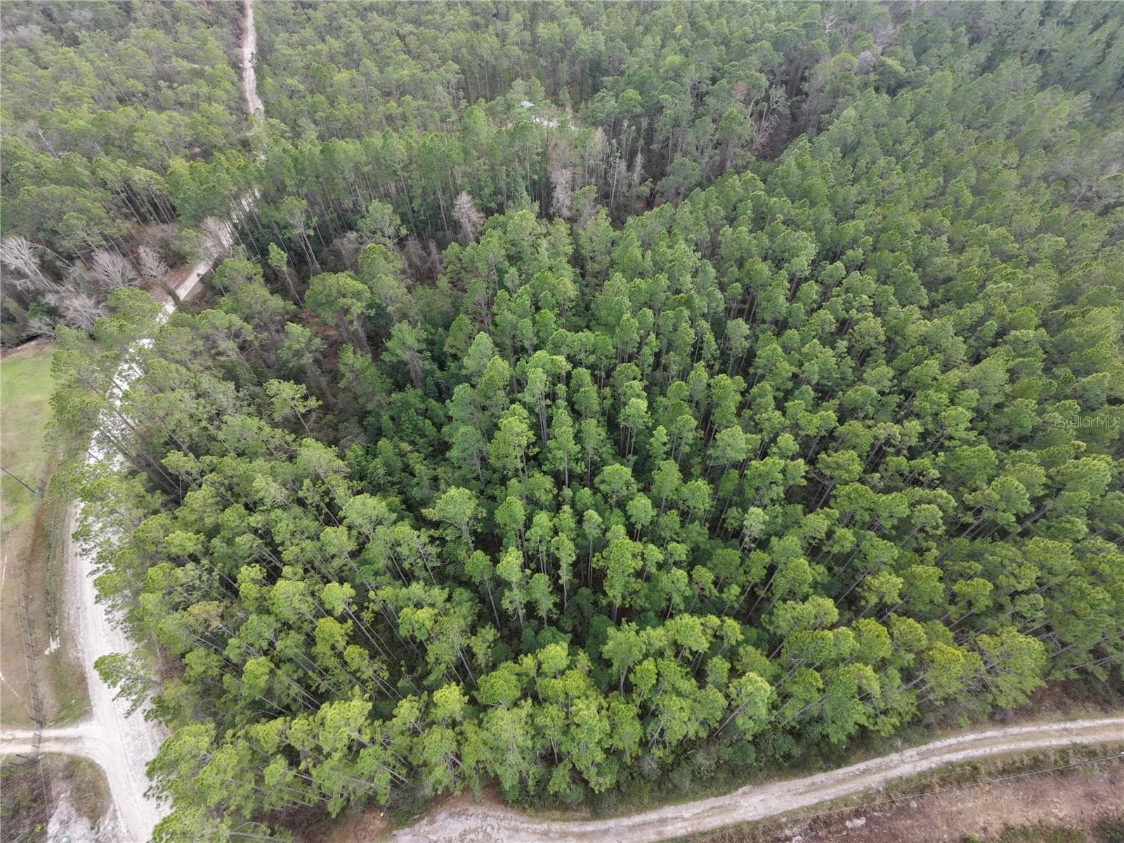 Land at NE NE 130 CT RD, FORT MC COY, photo 2 of 8