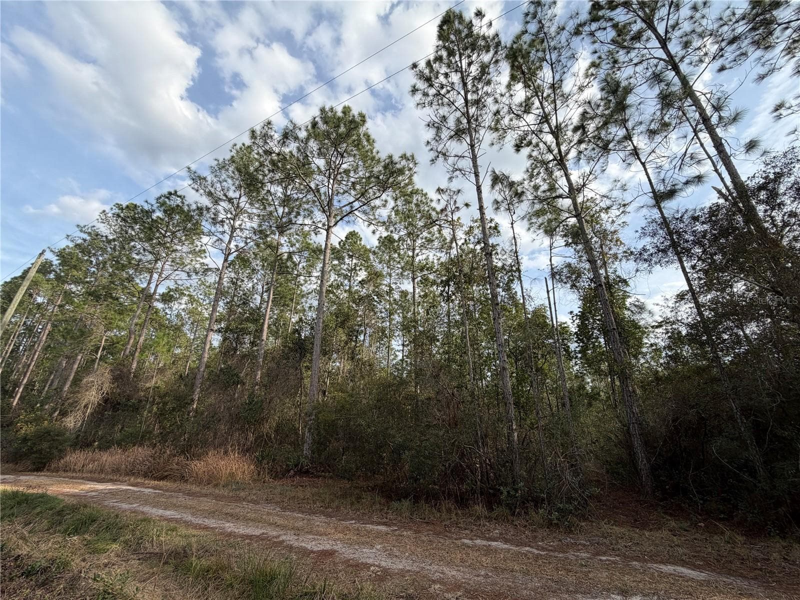 Land at NE NE 130 CT RD, FORT MC COY, photo 6 of 8