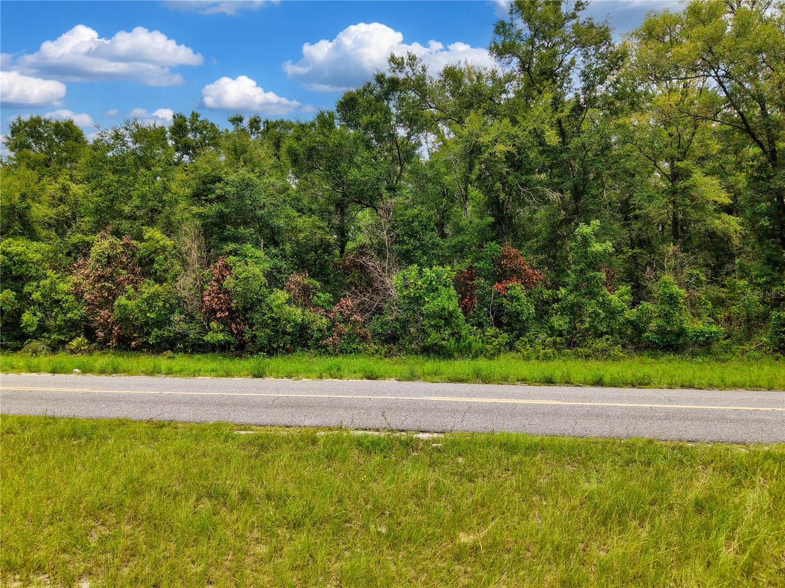 Land at 000 NE 410TH AVE, OLD TOWN, photo 7 of 20
