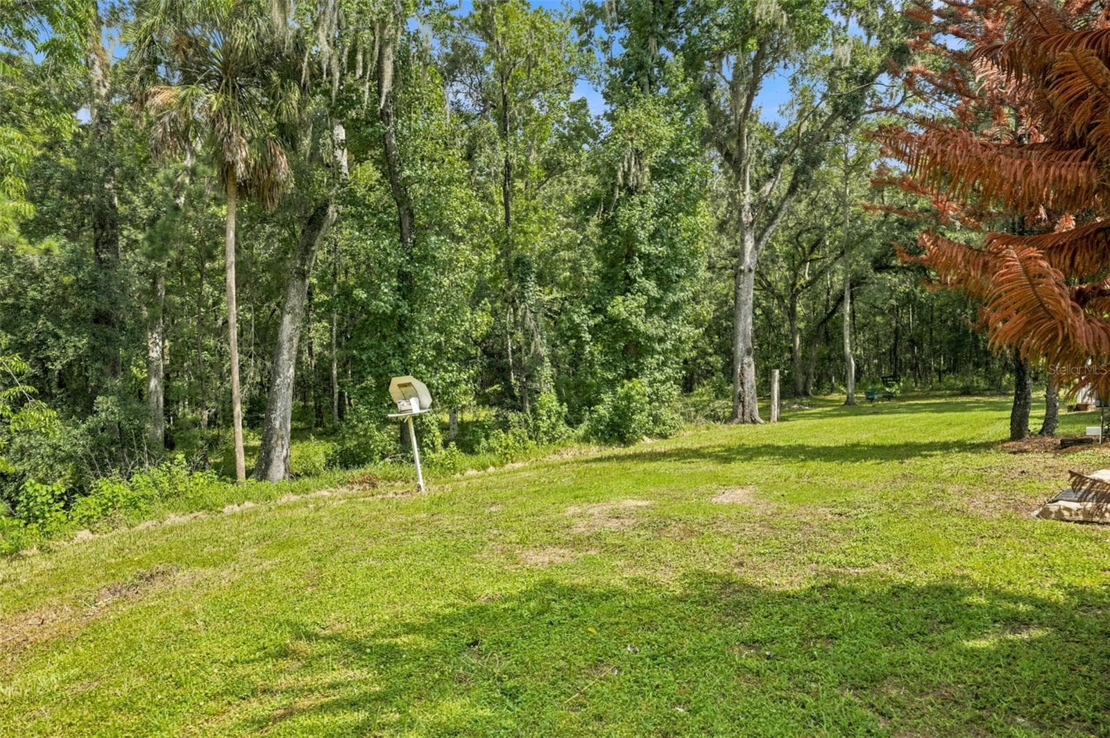 Single Family Residence at 18308 VALOR PATH, BROOKSVILLE, photo 55 of 70