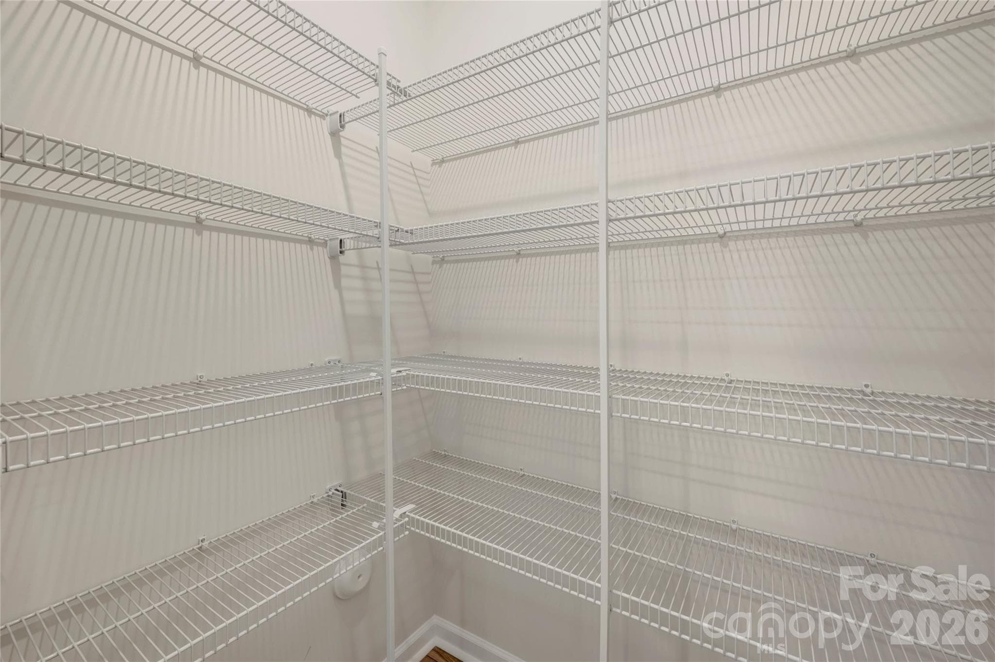 Walk-in kitchen pantry - Charlotte