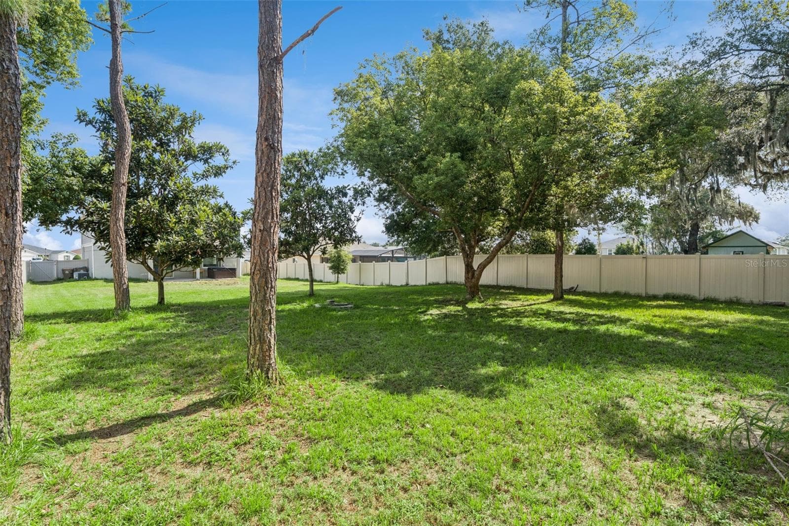 Backyard - 15898 BRADICKS CT, CLERMONT