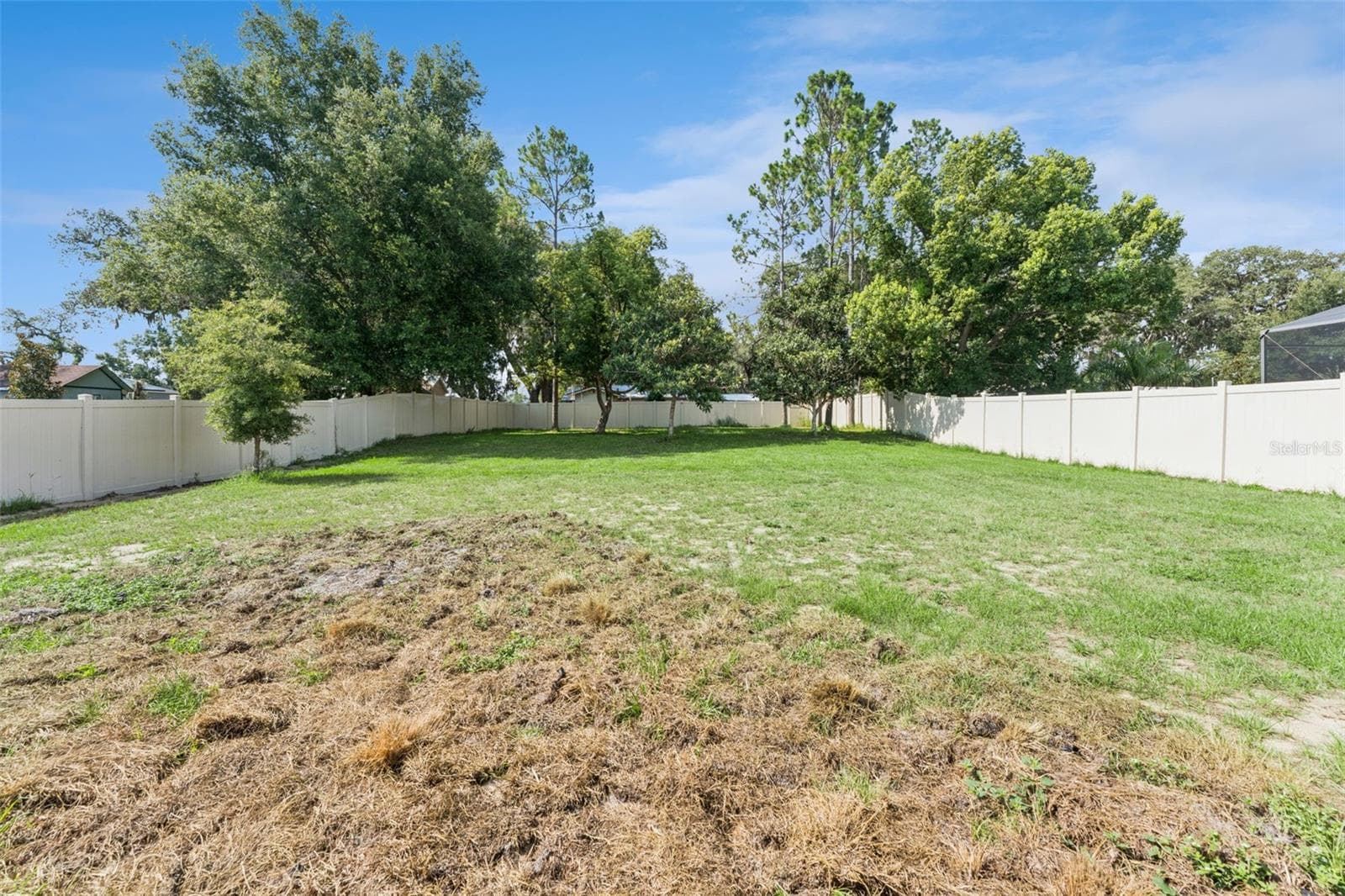 Backyard - 15898 BRADICKS CT, CLERMONT