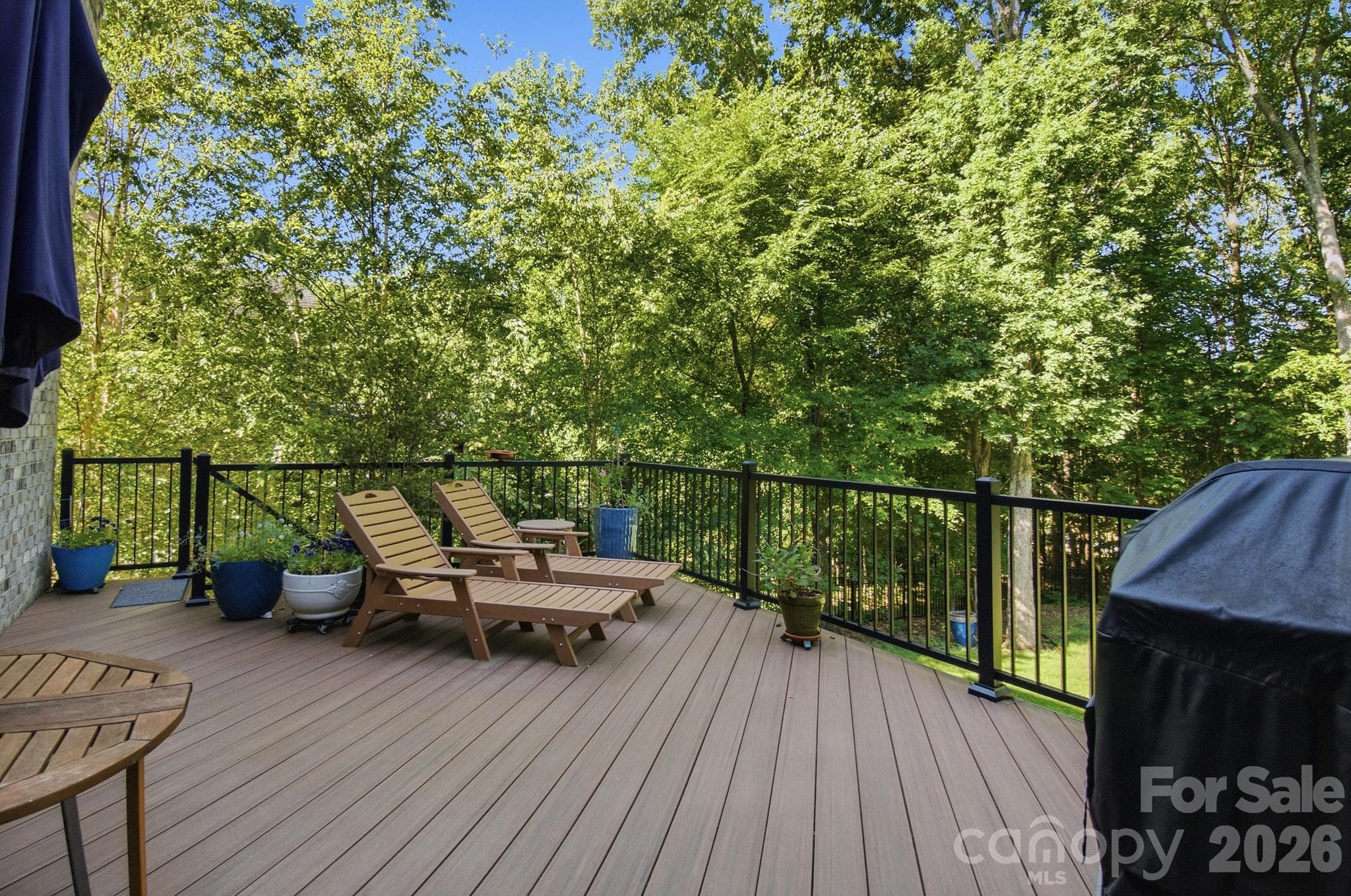 Back Porch - 8306 Early Bird Way, Mint Hill