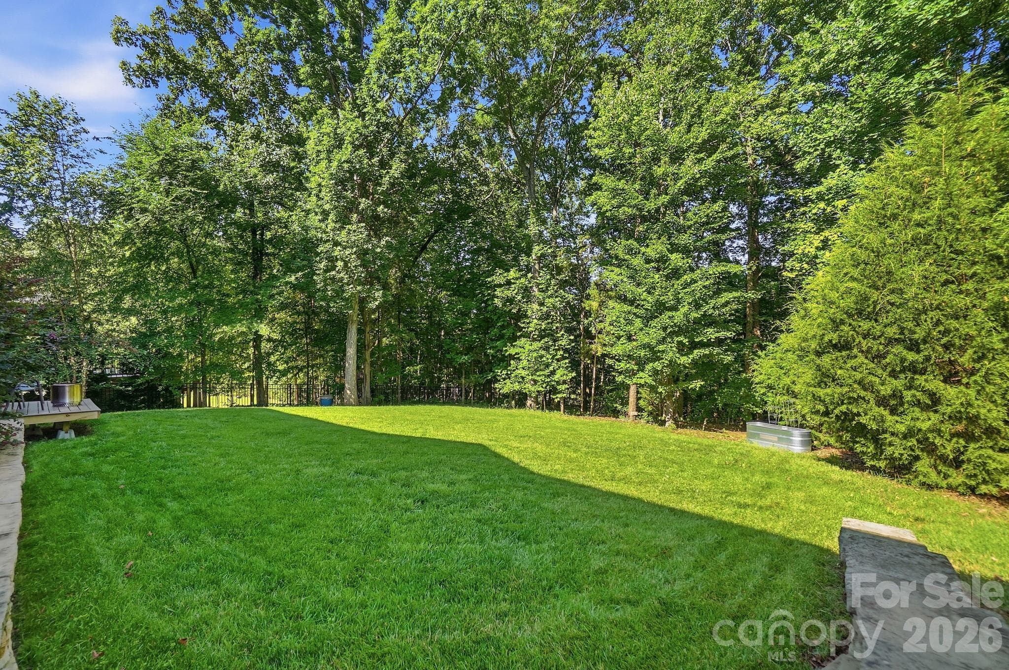 Backyard - 8306 Early Bird Way, Mint Hill