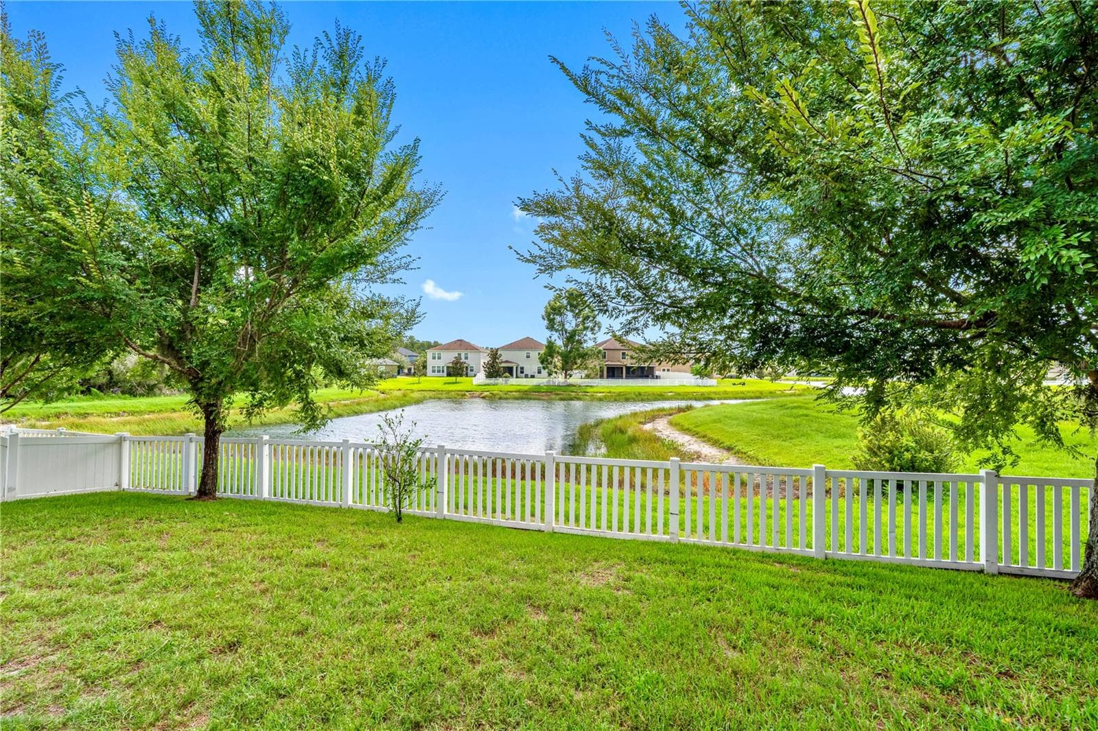 Backyard - 19343 PADDOCK VIEW DR, TAMPA