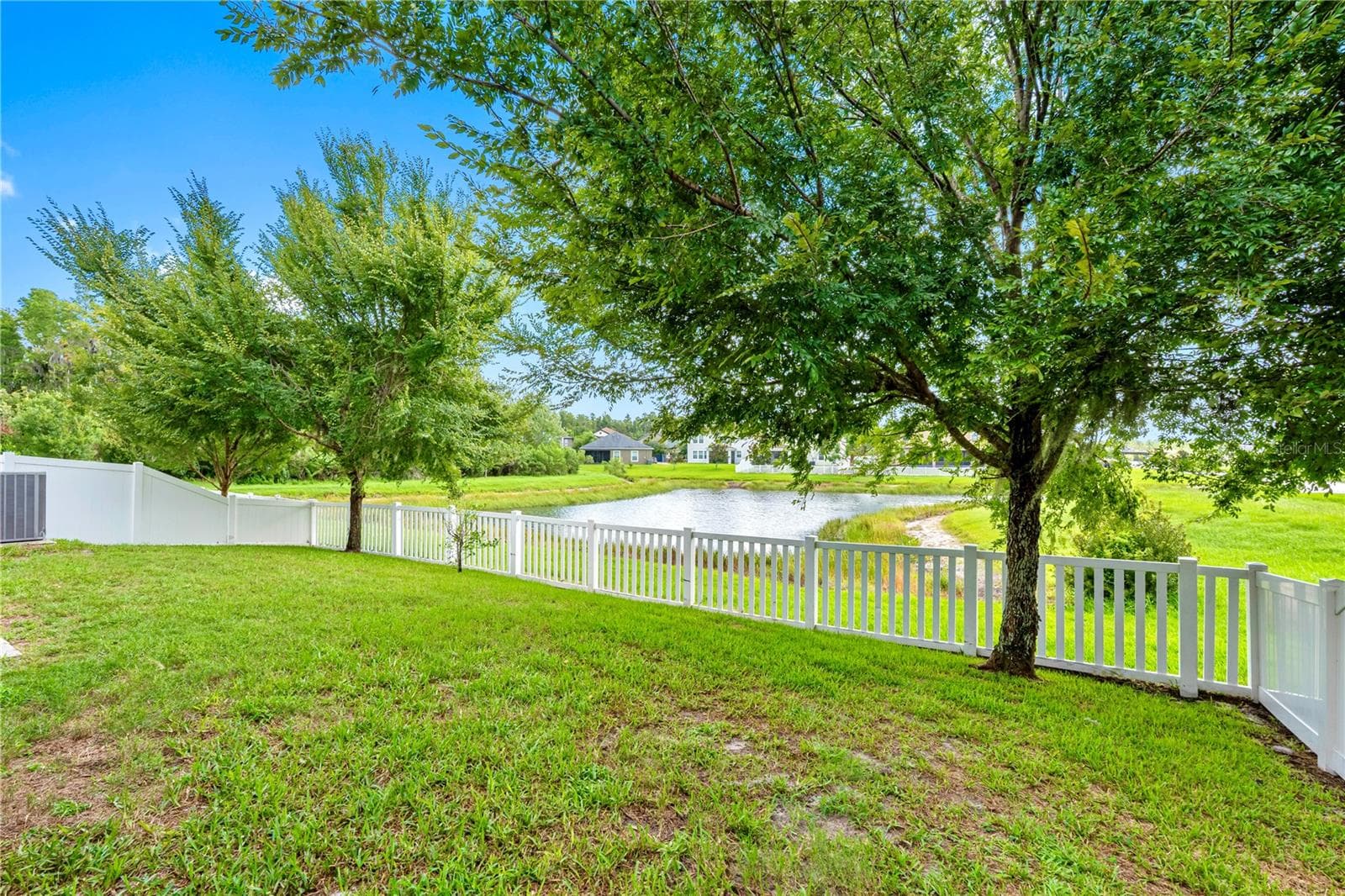Backyard - 19343 PADDOCK VIEW DR, TAMPA